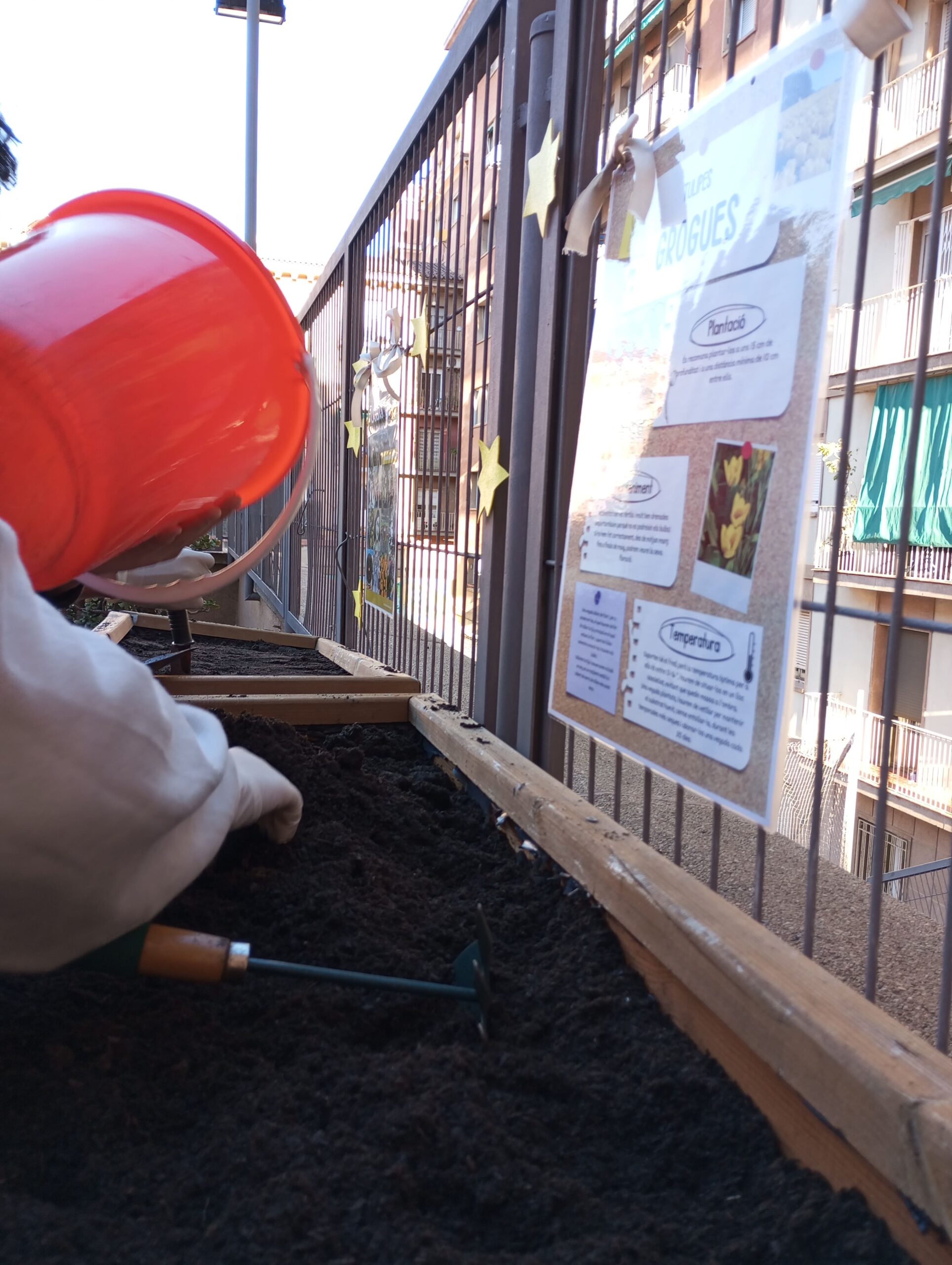 Projecte Crocus6_2023-2024