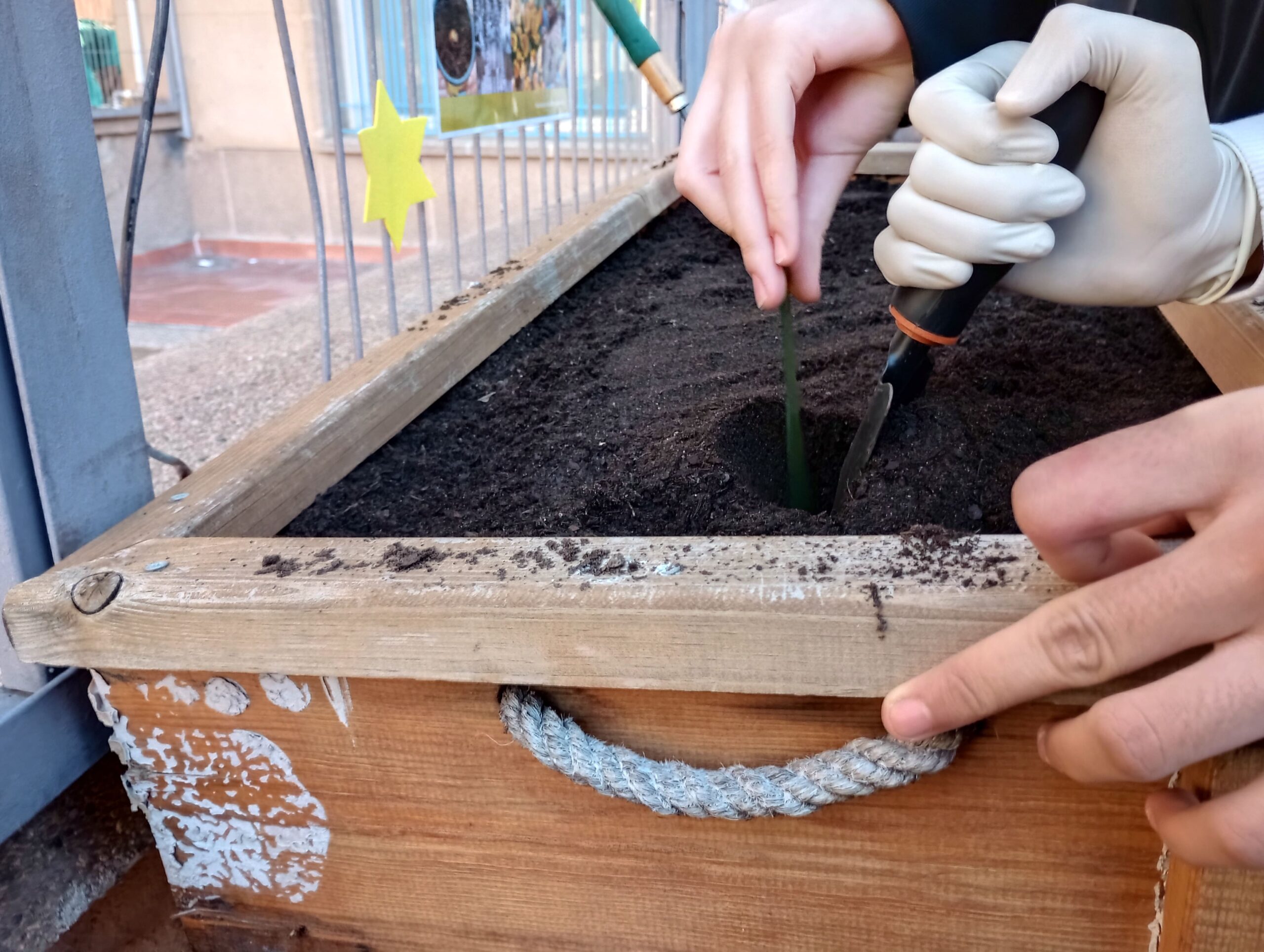 Projecte Crocus7_2023-2024