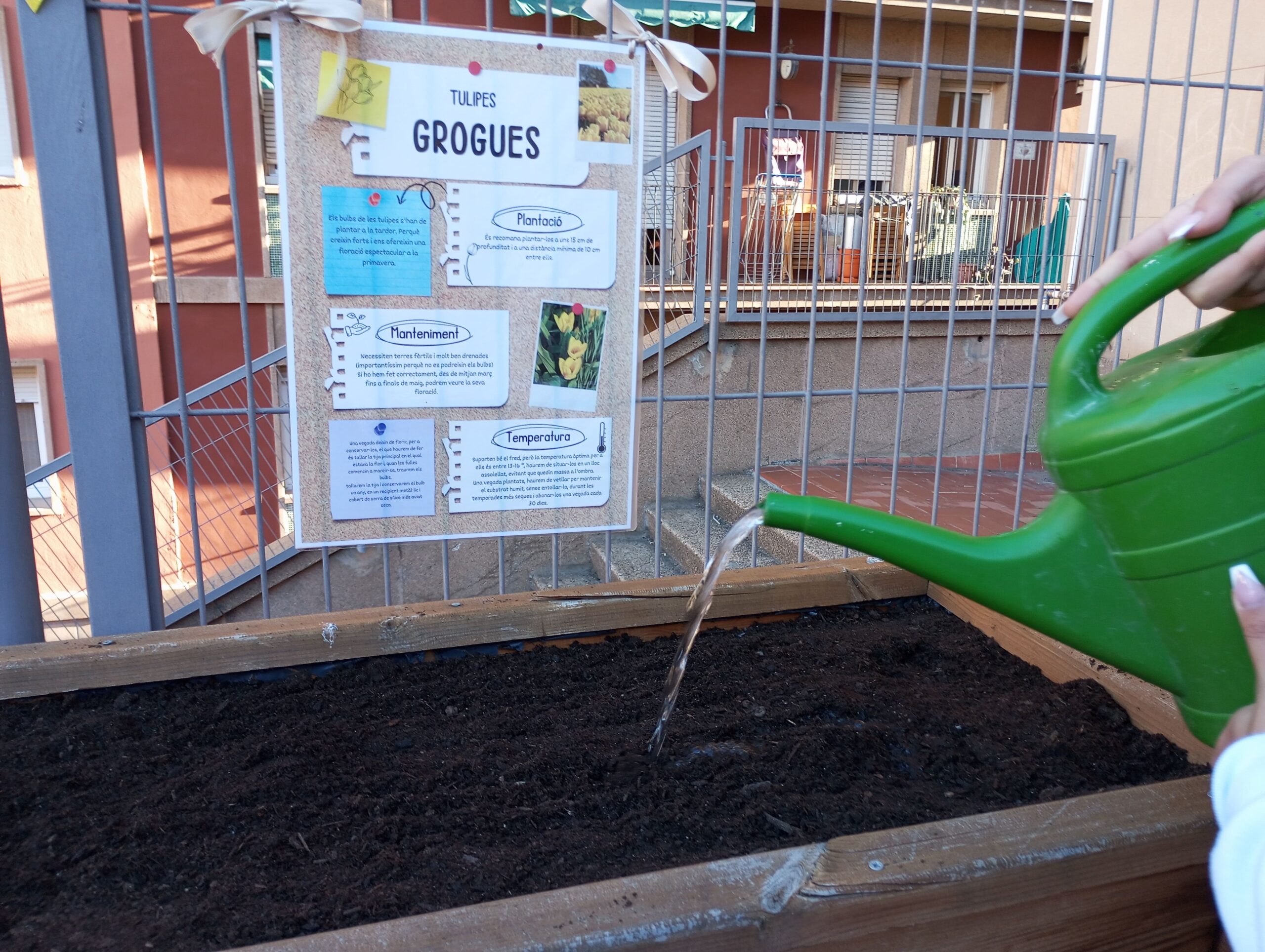 Projecte Crocus8_2023-2024