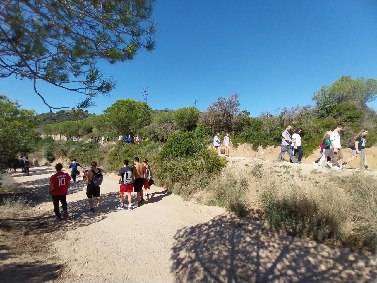 WhatsApp Image 2024-09-30 at 11.55.23