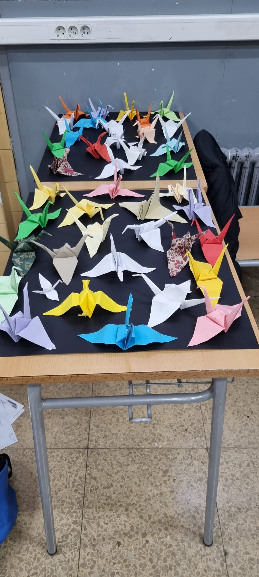 Foto de Rosa Calvo(5)