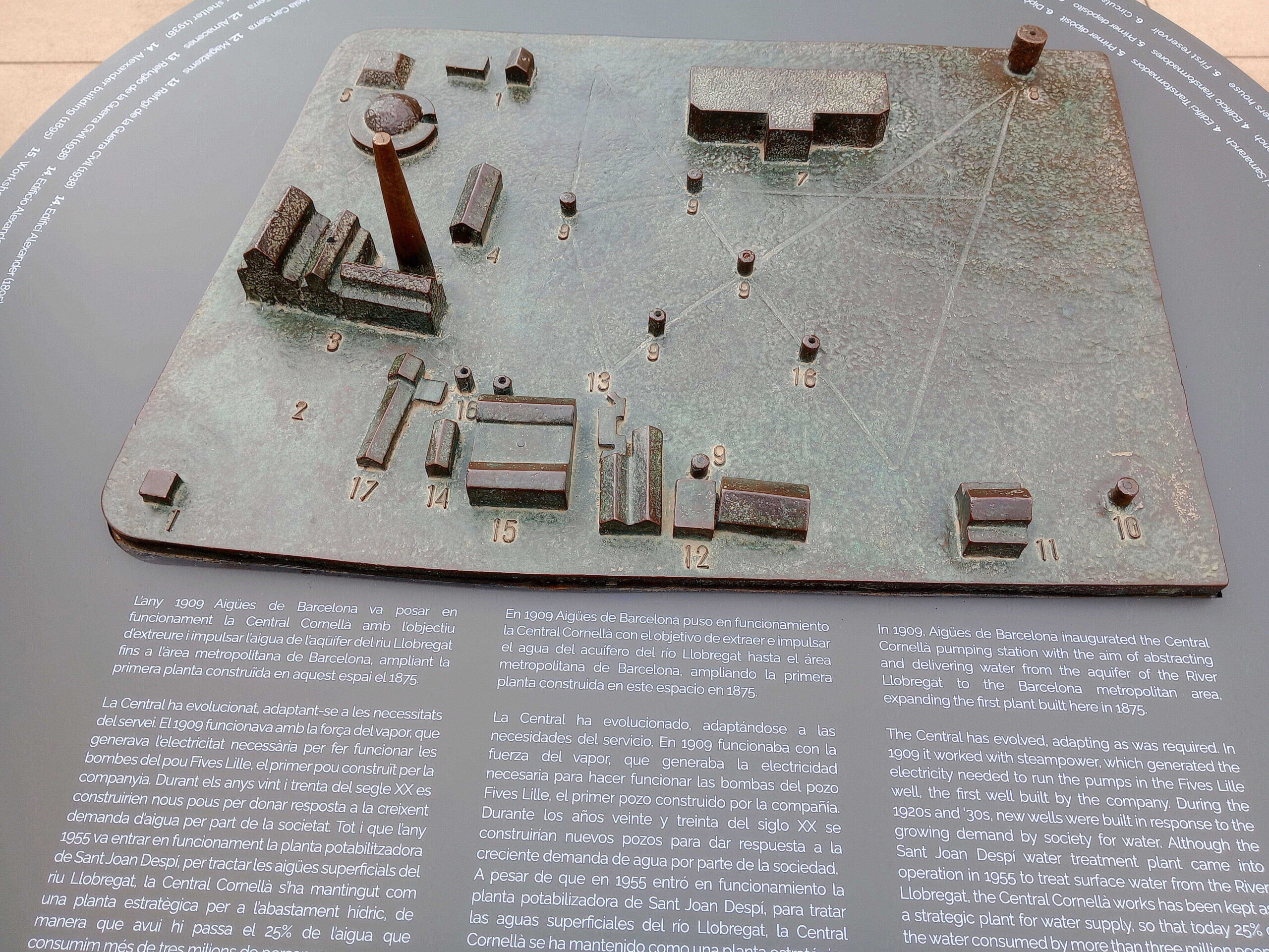 IMG_20250211_120017_red