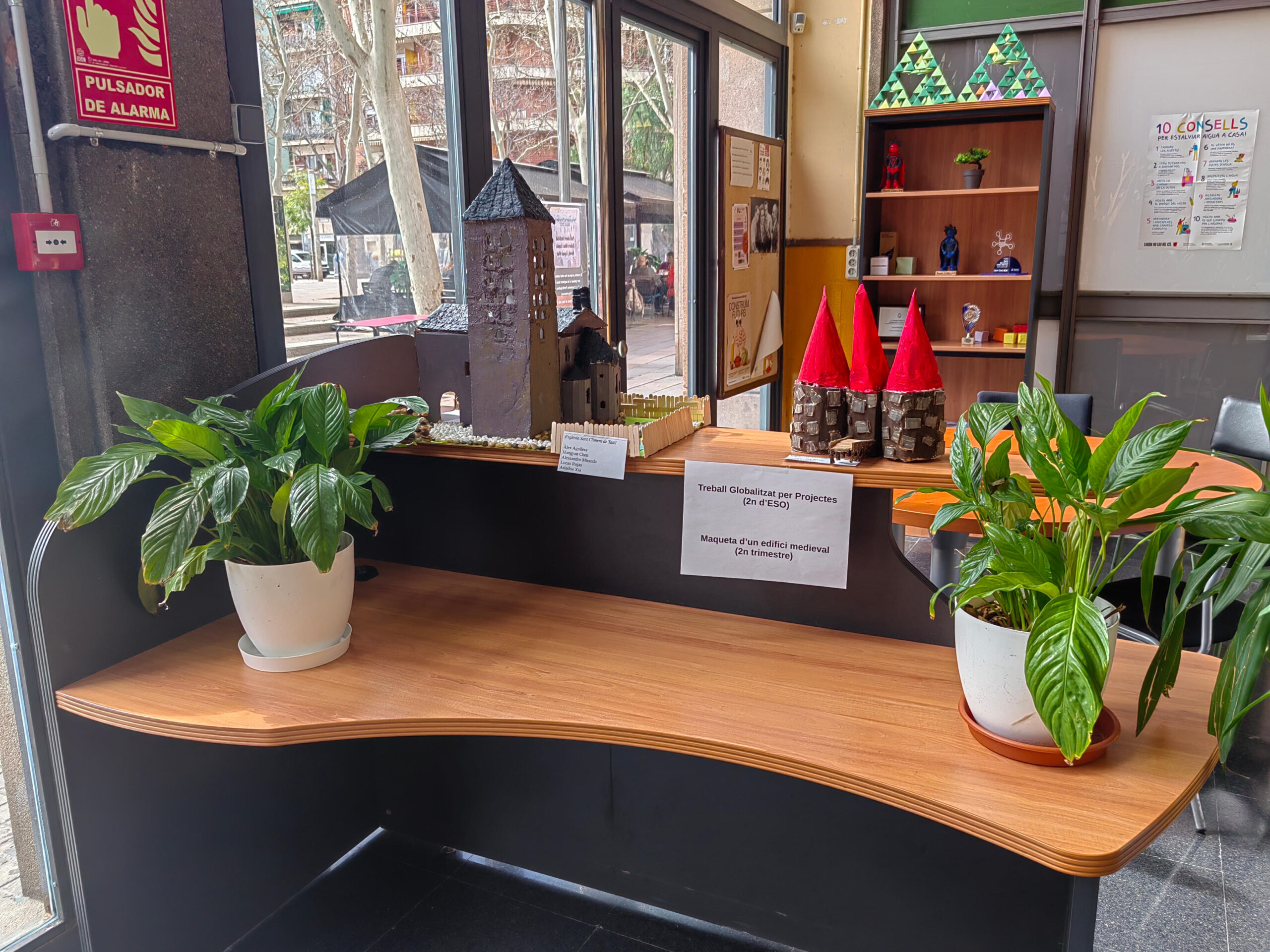 IMG_20250326_103738_red