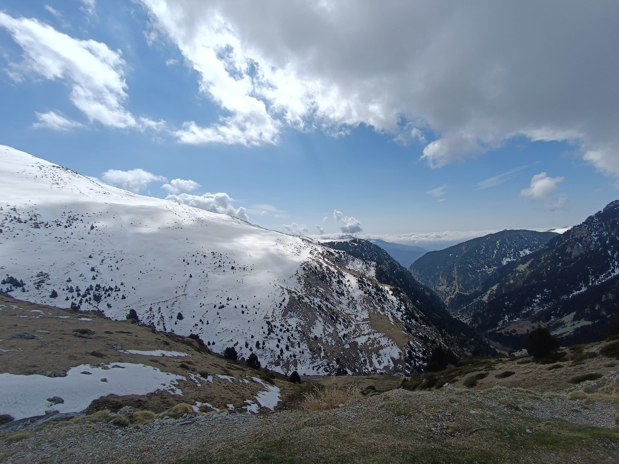 WhatsApp Image 2025-04-11 at 3.53.33 PM (1)