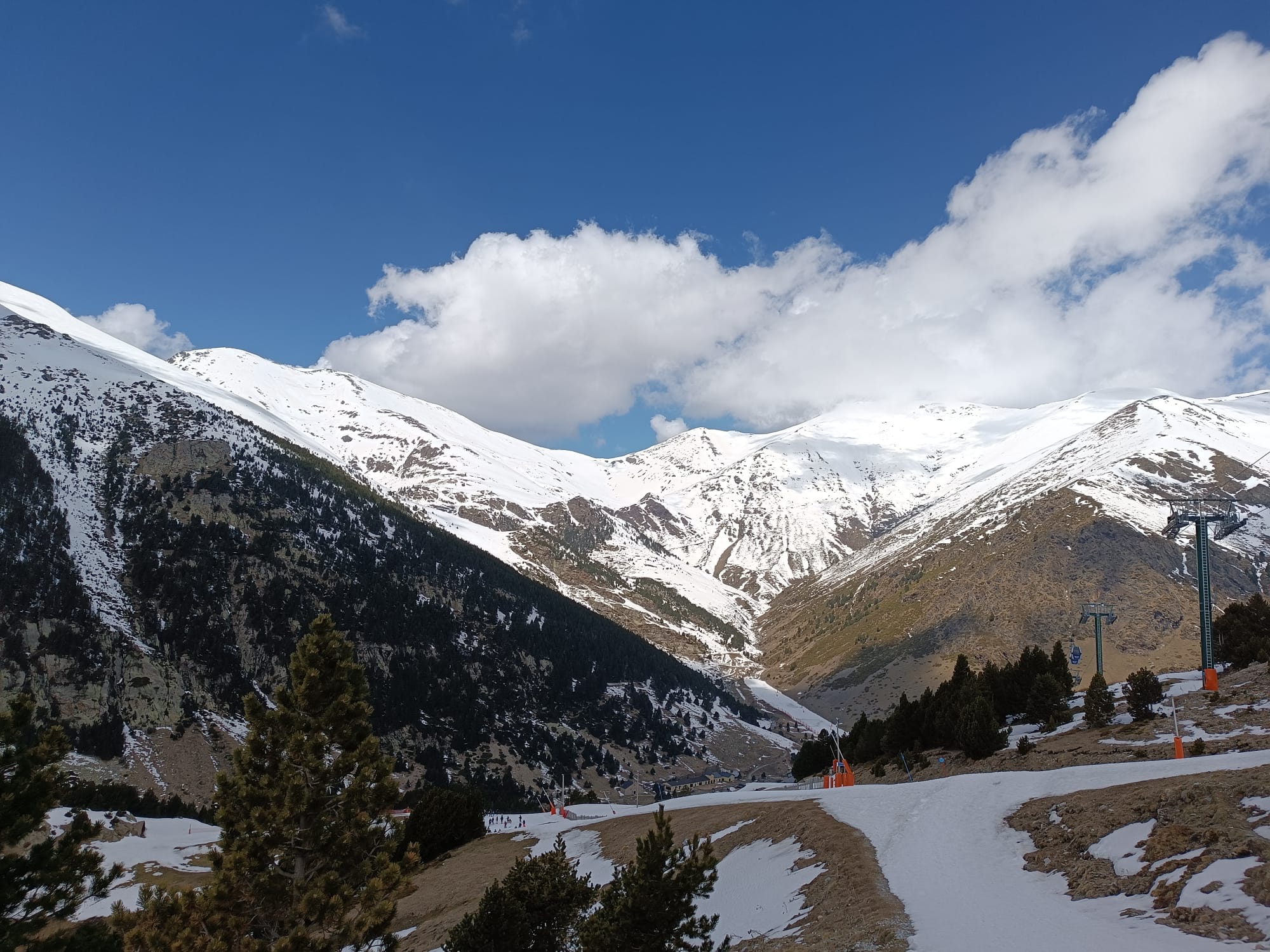 WhatsApp Image 2025-04-11 at 3.53.33 PM