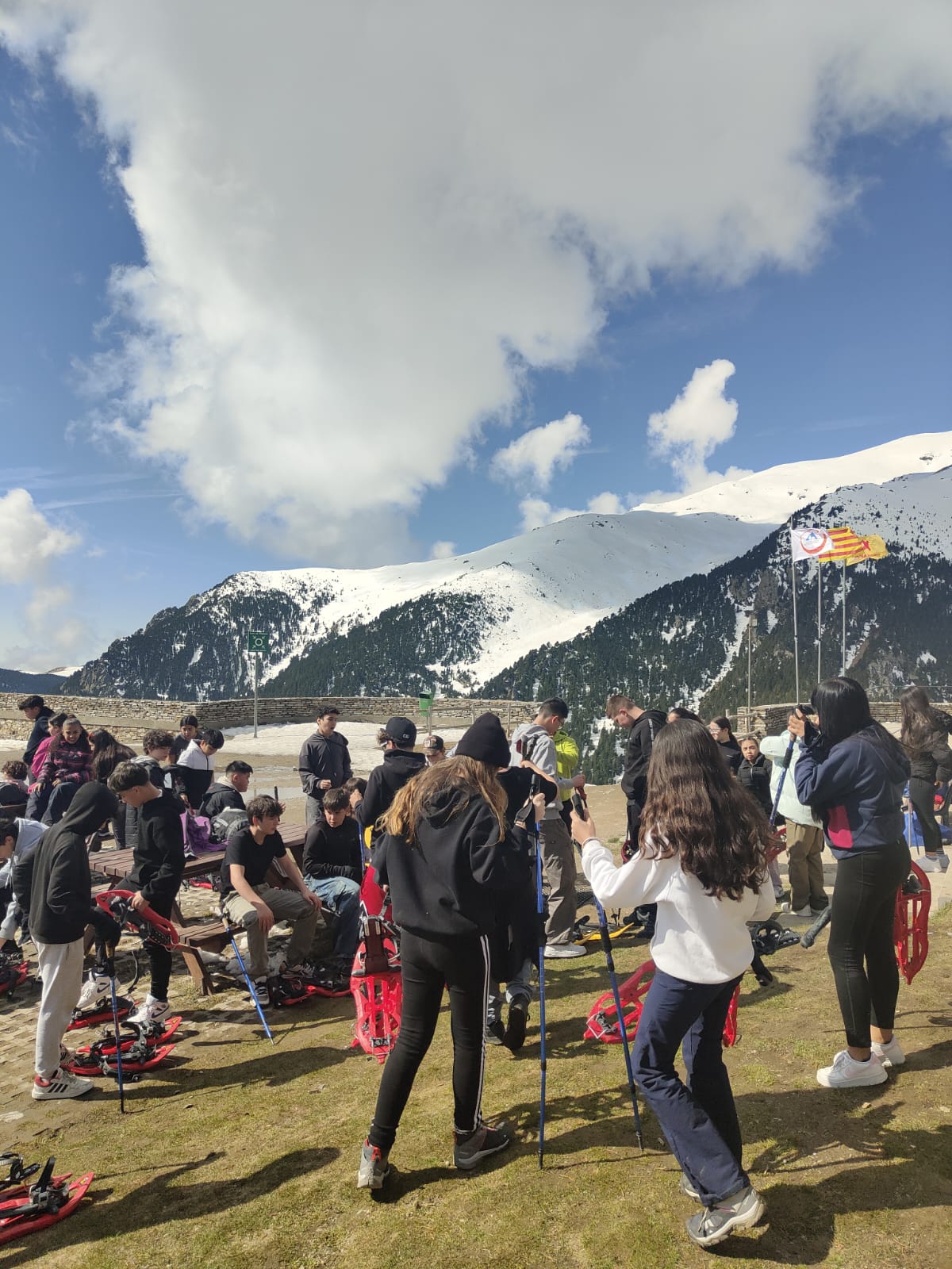 WhatsApp Image 2025-04-11 at 3.55.20 PM