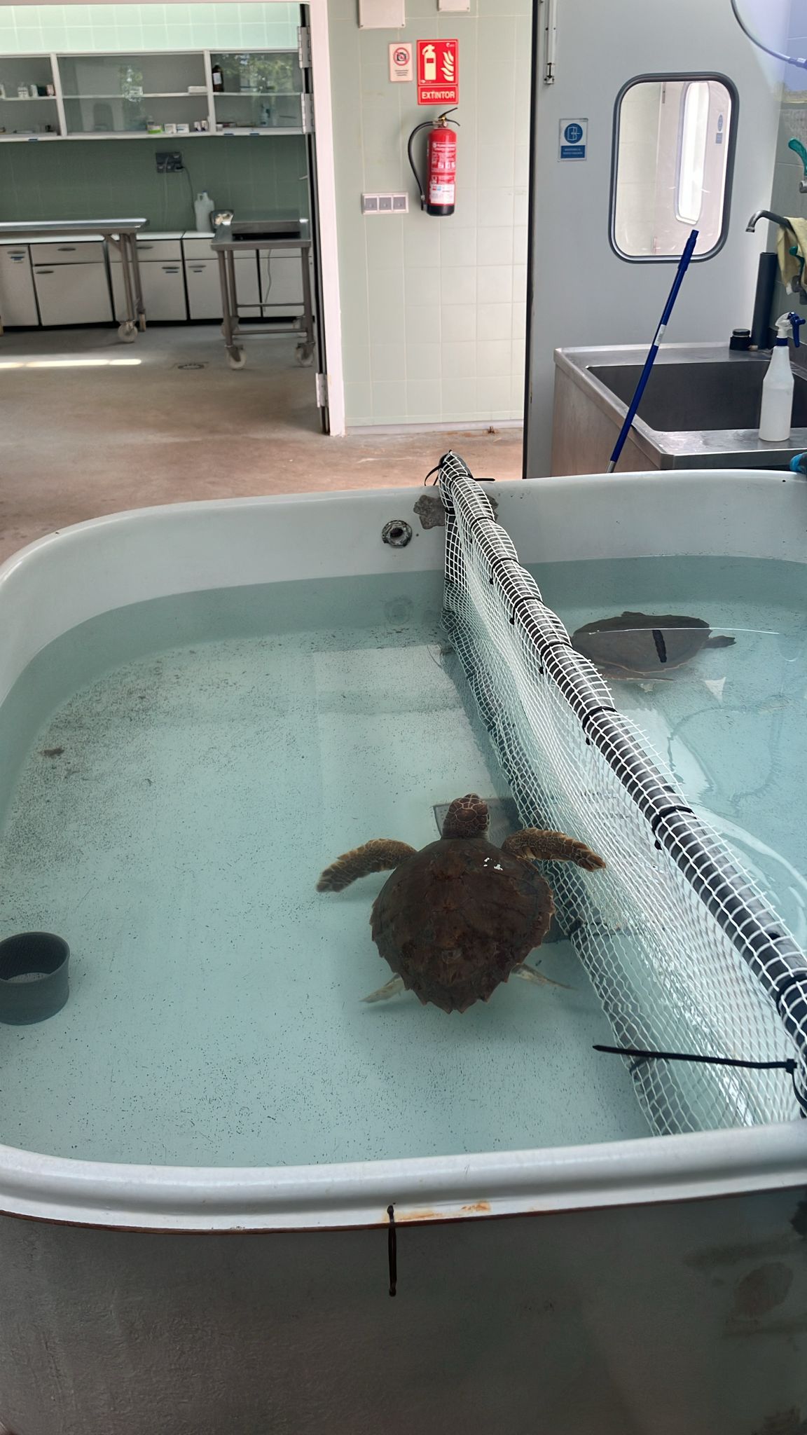 WhatsApp Image 2025-05-14 at 2.09.07 PM