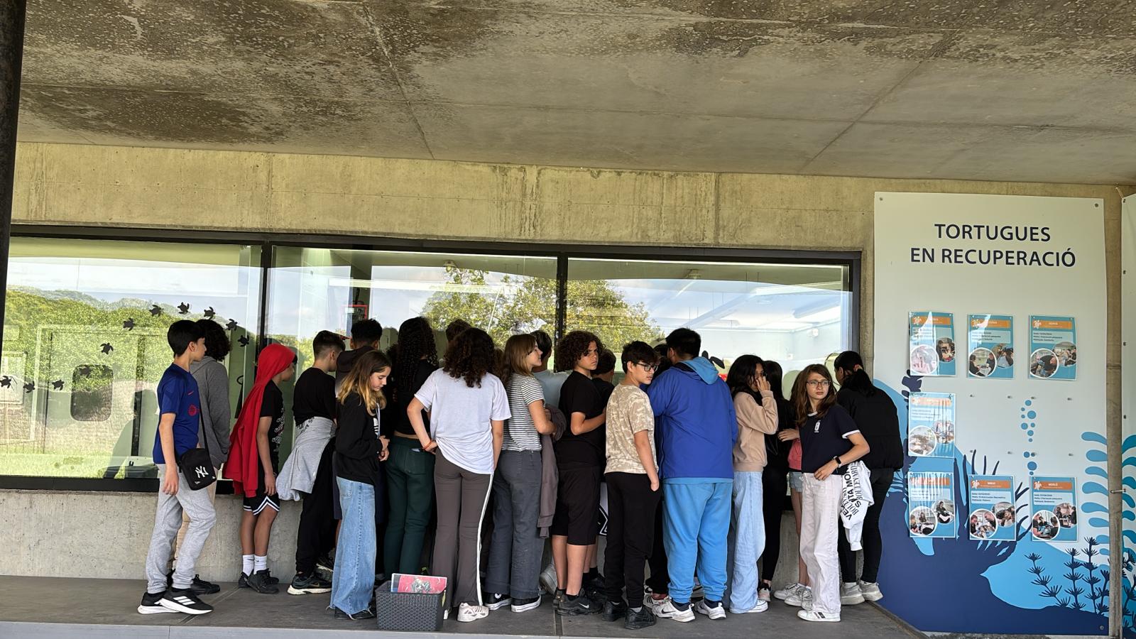 WhatsApp Image 2025-05-14 at 2.09.45 PM