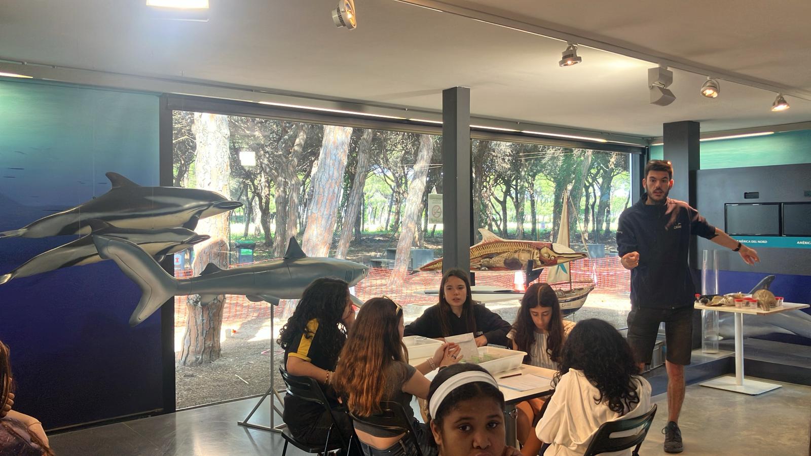 WhatsApp Image 2025-05-14 at 2.09.45 PM(1)