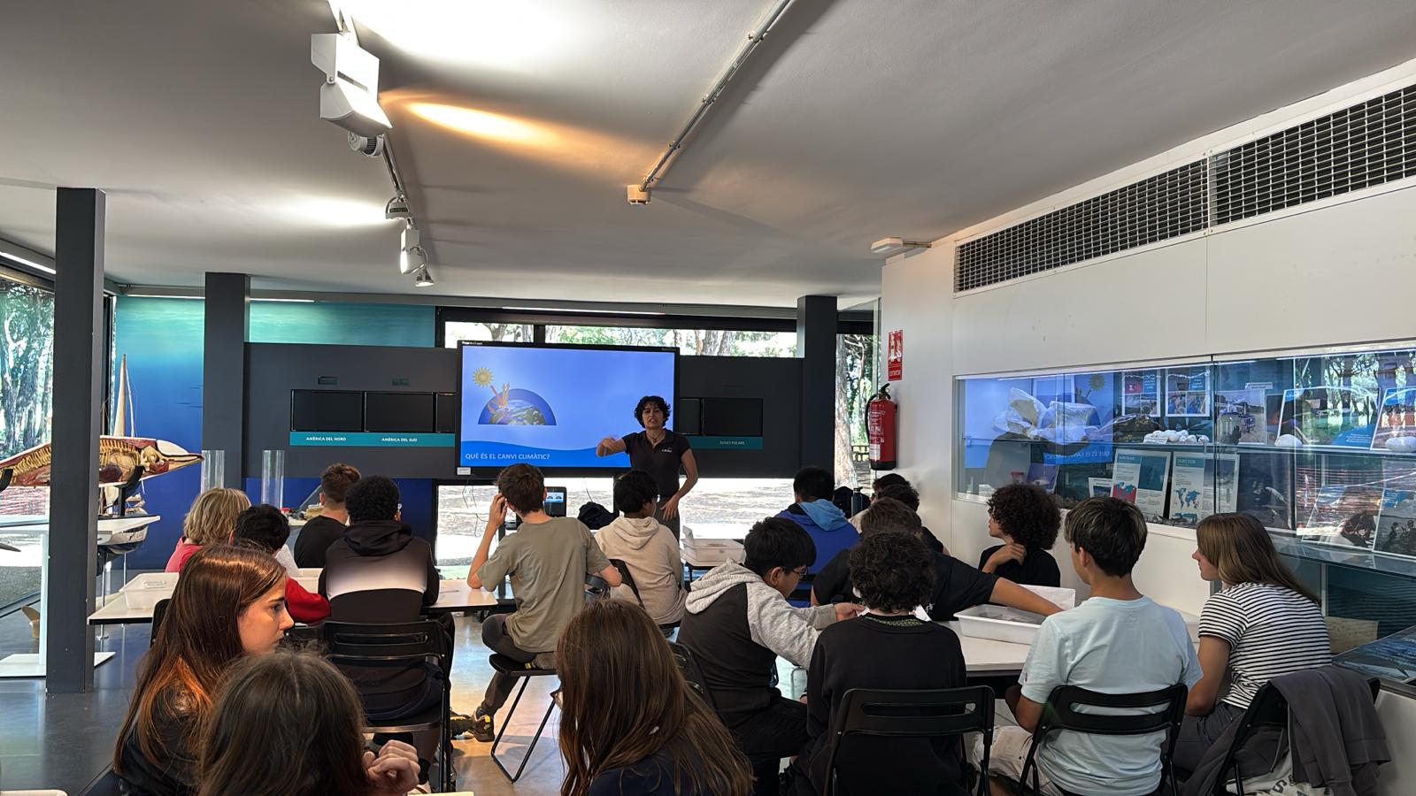 WhatsApp Image 2025-05-14 at 2.09.46 PM(1)