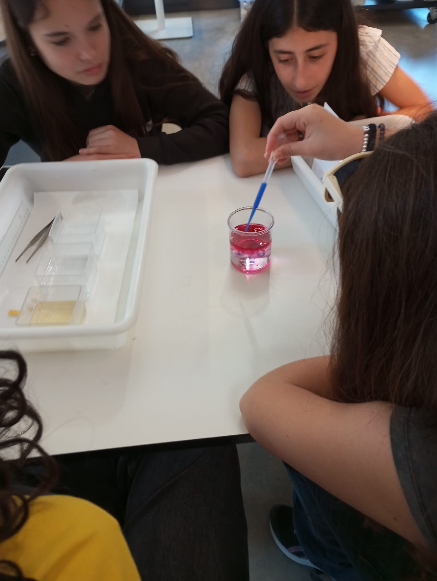 WhatsApp Image 2025-05-14 at 2.09.48 PM