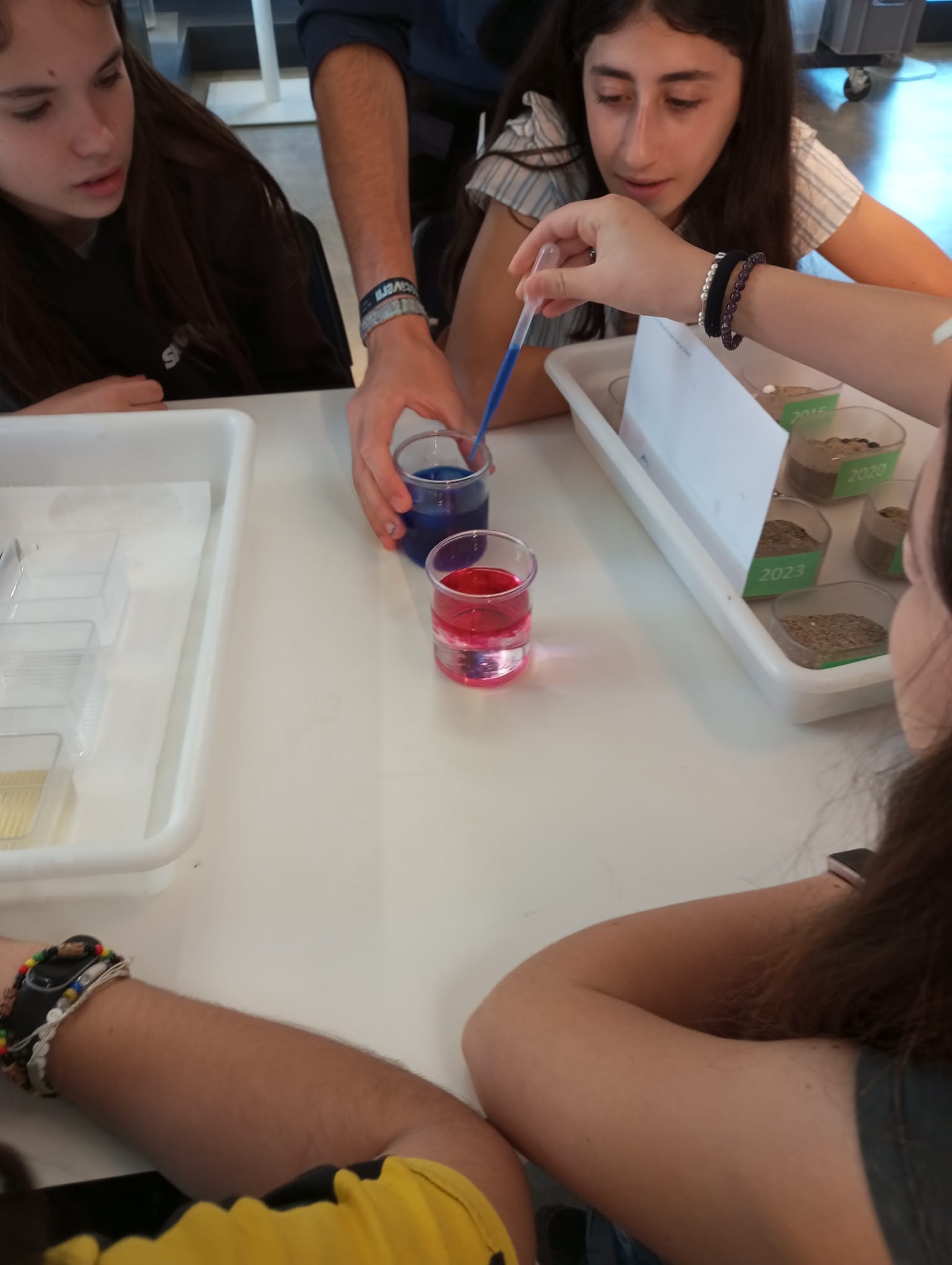 WhatsApp Image 2025-05-14 at 2.09.49 PM