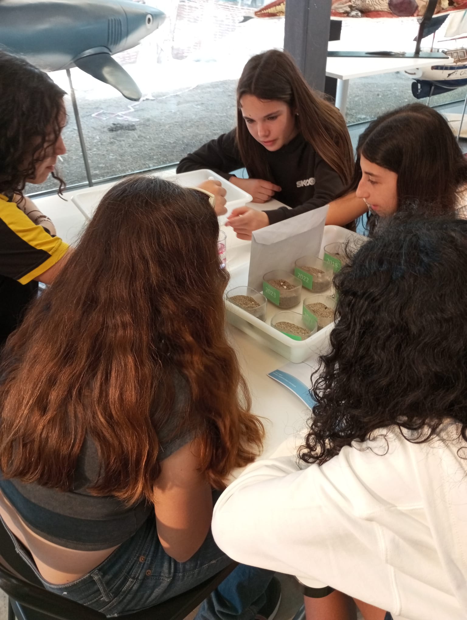 WhatsApp Image 2025-05-14 at 2.09.49 PM(1)