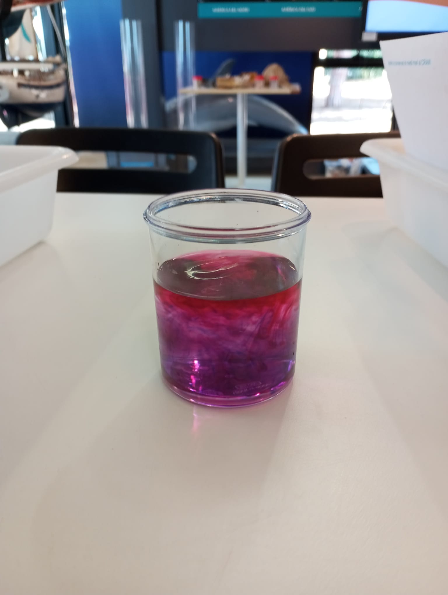 WhatsApp Image 2025-05-14 at 2.09.49 PM(3)