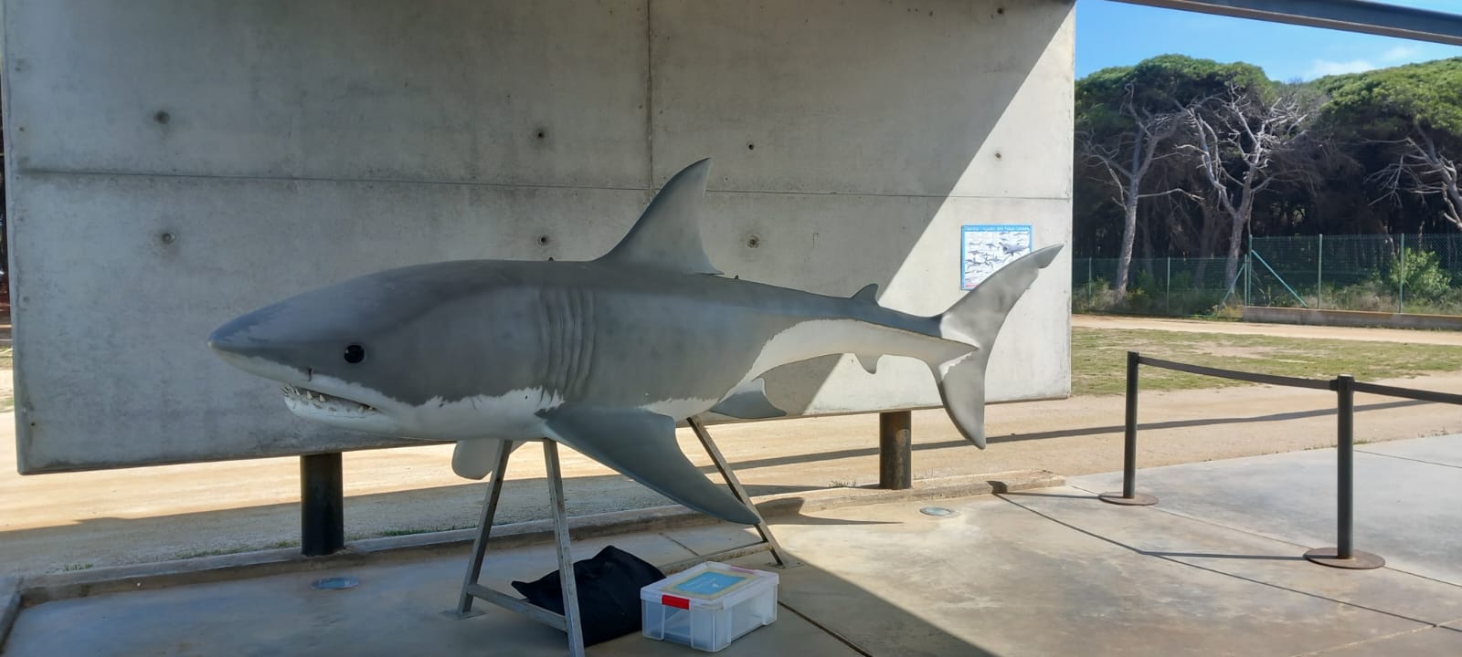 WhatsApp Image 2025-05-14 at 2.09.51 PM