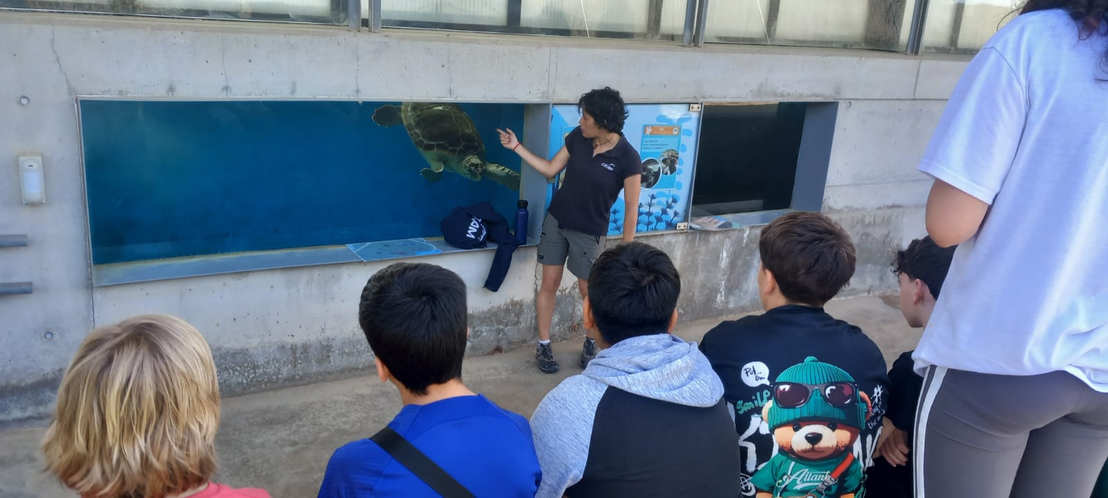 WhatsApp Image 2025-05-14 at 2.09.51 PM(1)