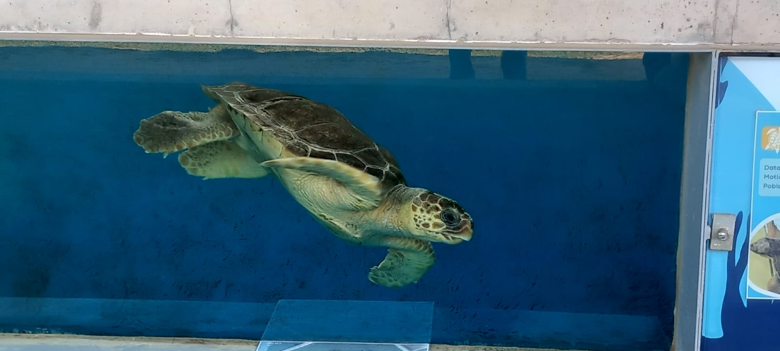 WhatsApp Image 2025-05-14 at 2.09.58 PM