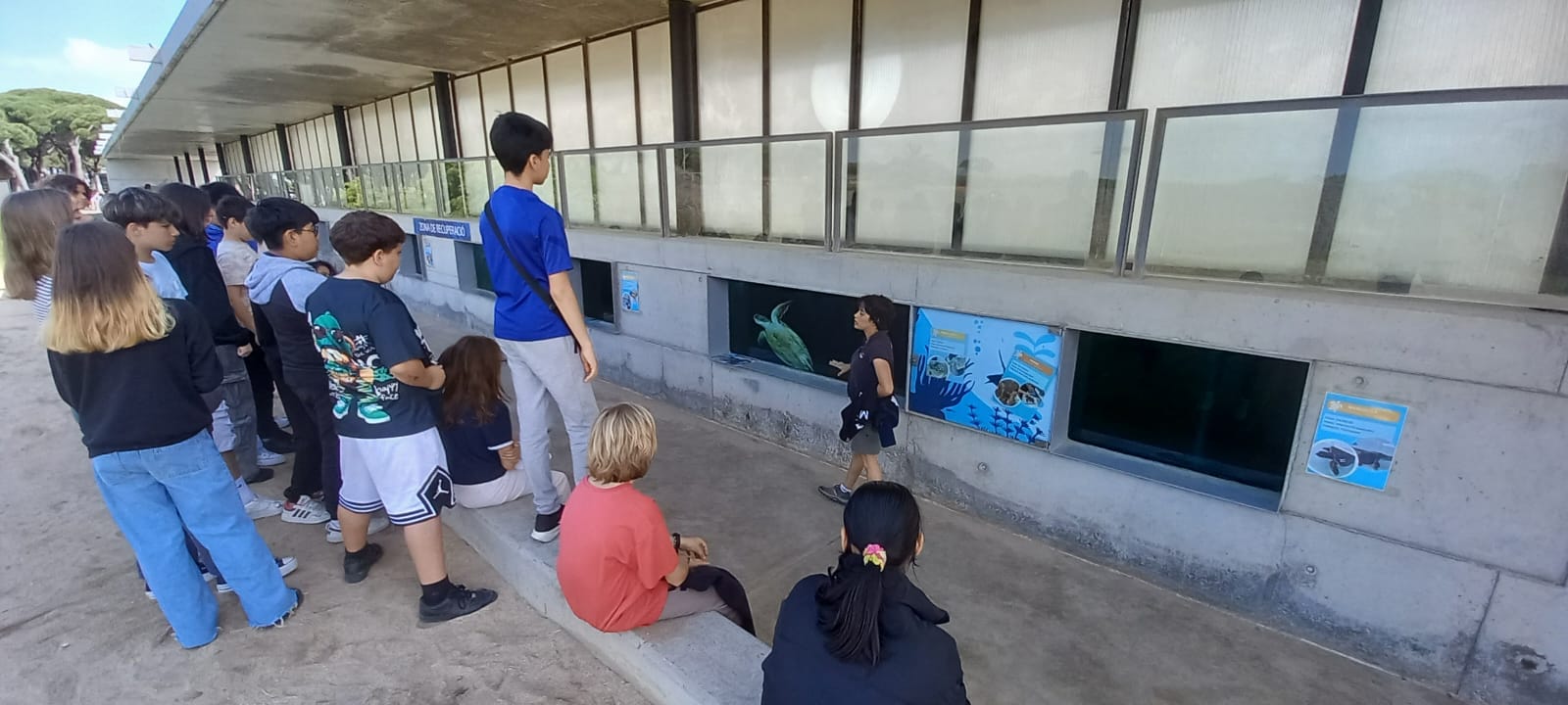 WhatsApp Image 2025-05-14 at 2.09.58 PM(1)