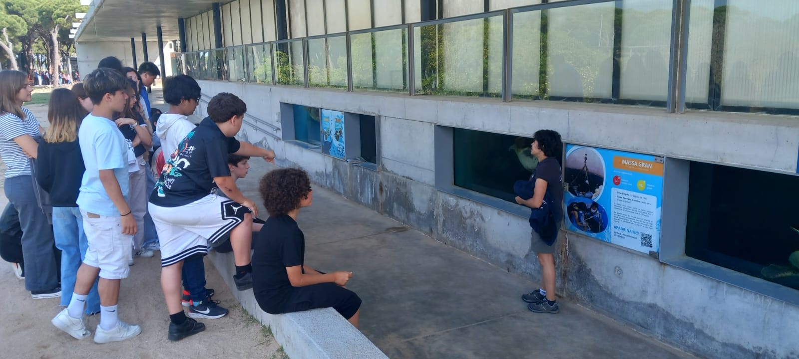 WhatsApp Image 2025-05-14 at 2.09.59 PM