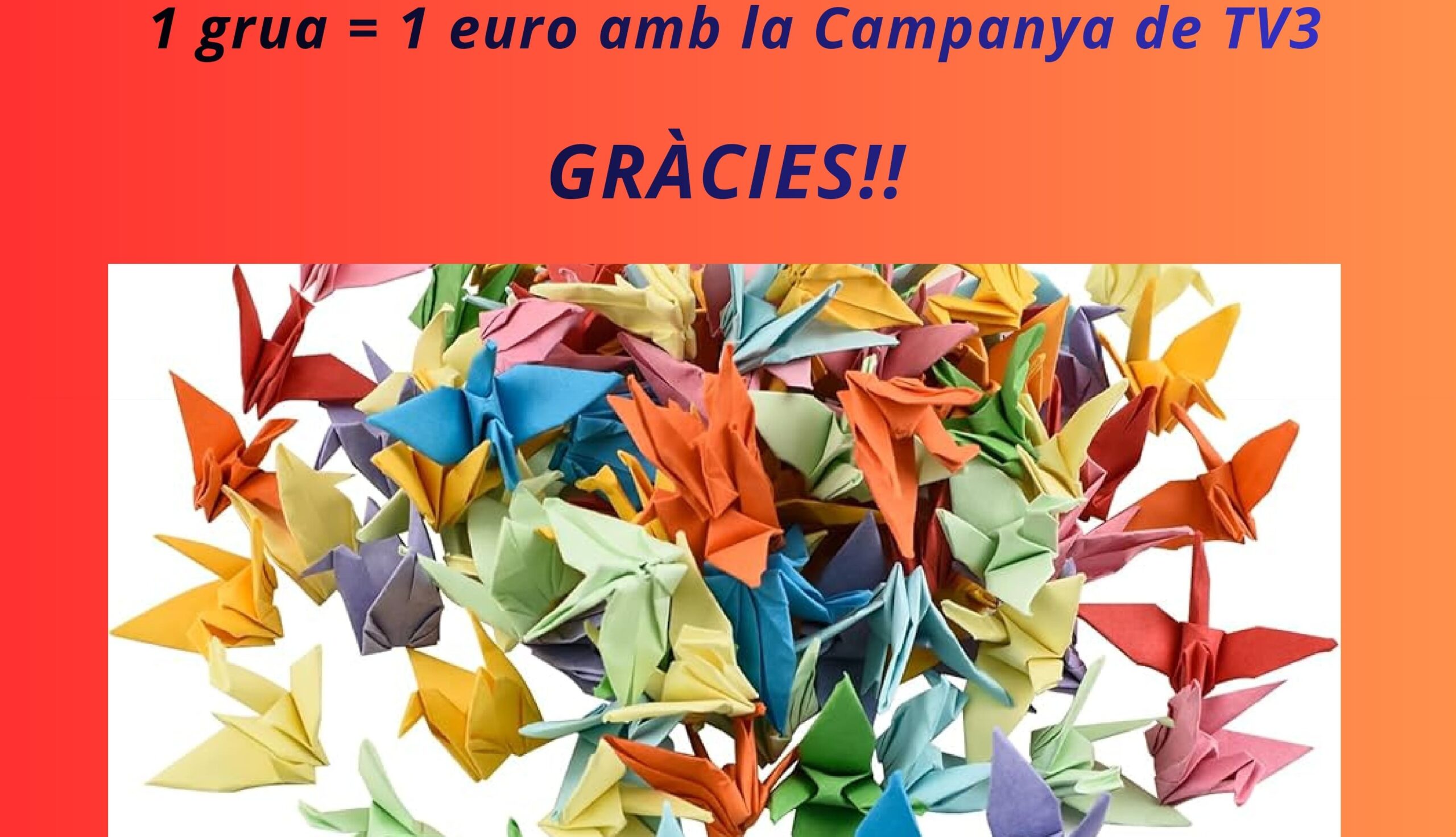 Pòster grues vestíbul_page-0001 (2) (1)