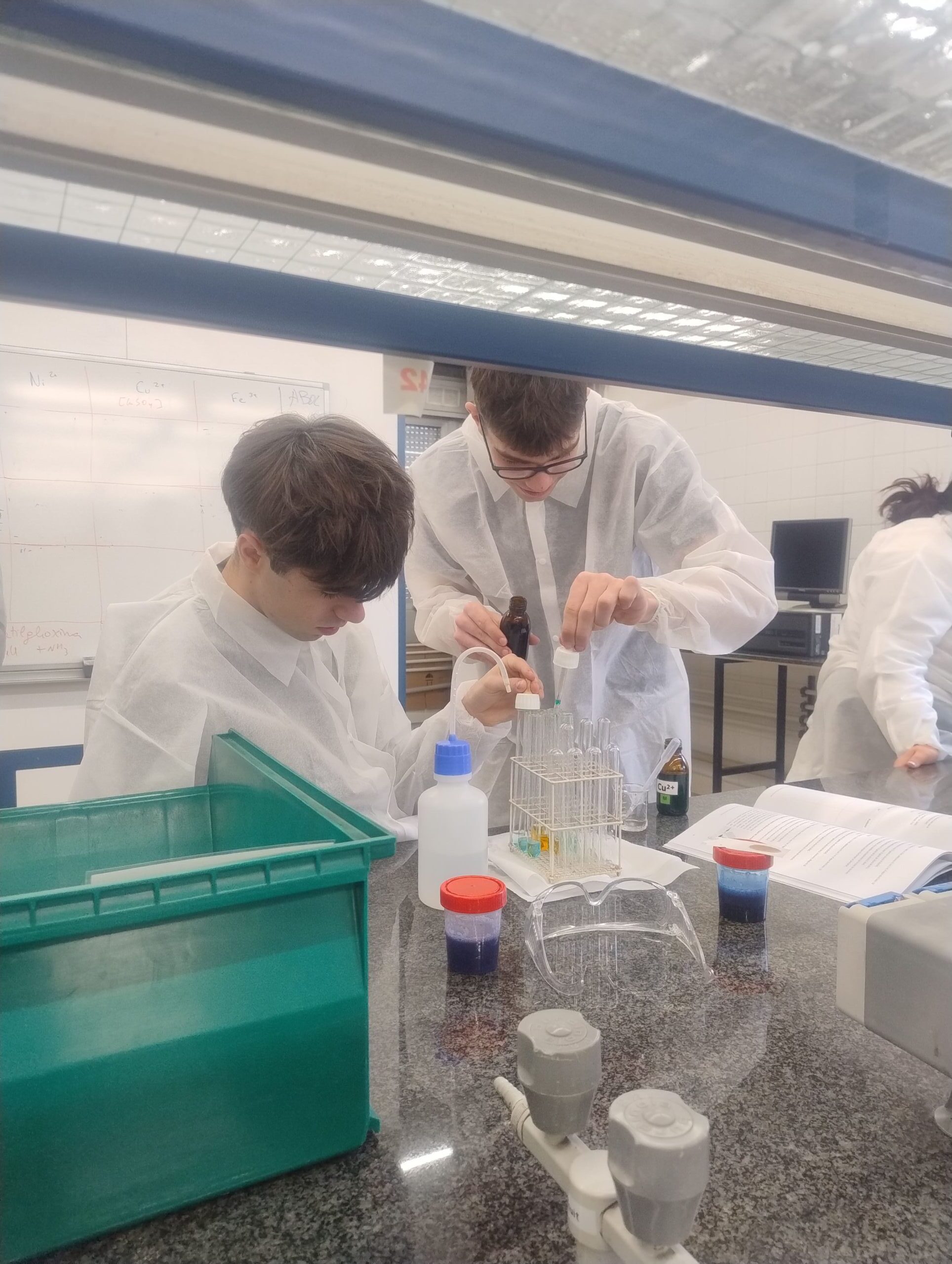 IMG_20260128_125017782