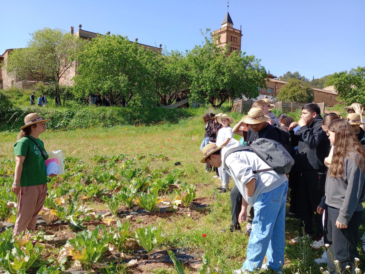 WhatsApp Image 2026-04-08 at 18.32.19