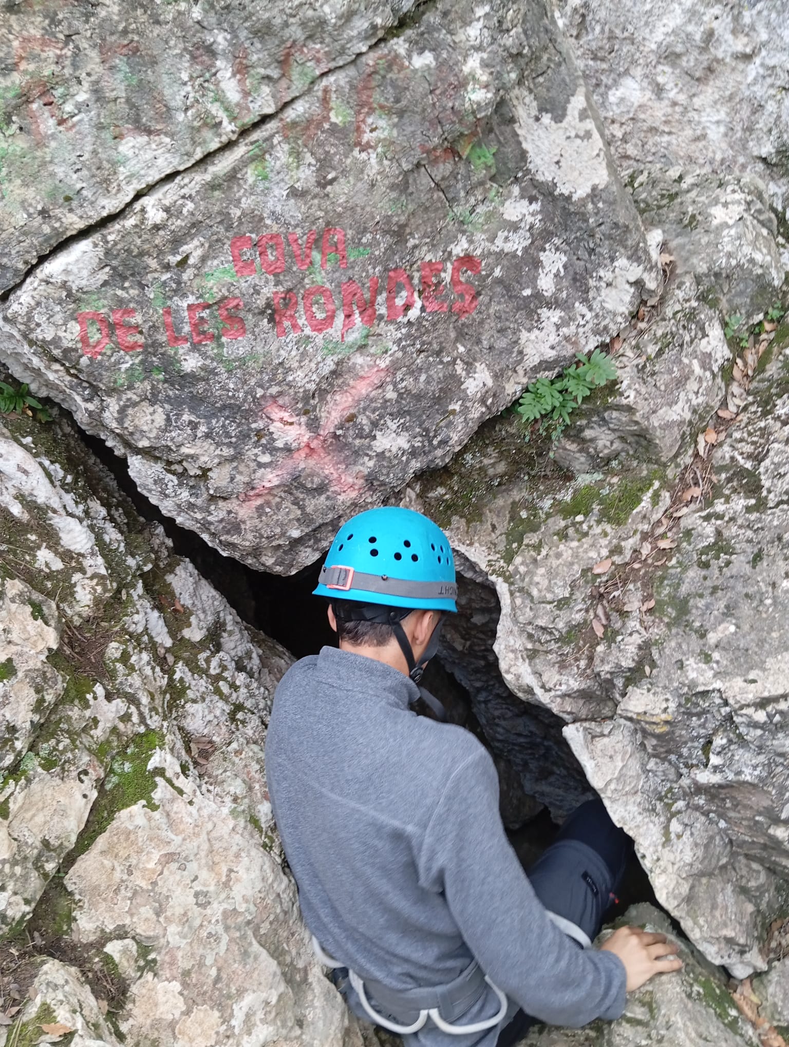 Entrada - Aida Vallès Casas