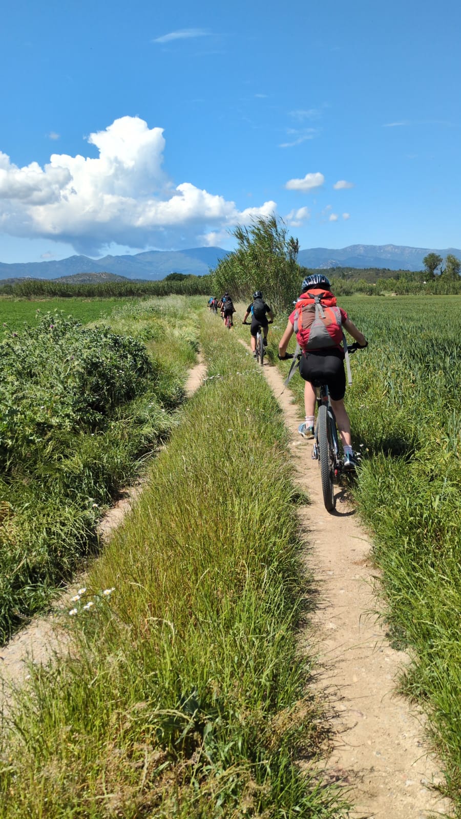 WhatsApp Image 2025-05-23 at 10.17.48 AM (1) - Sara Menendez Domenech