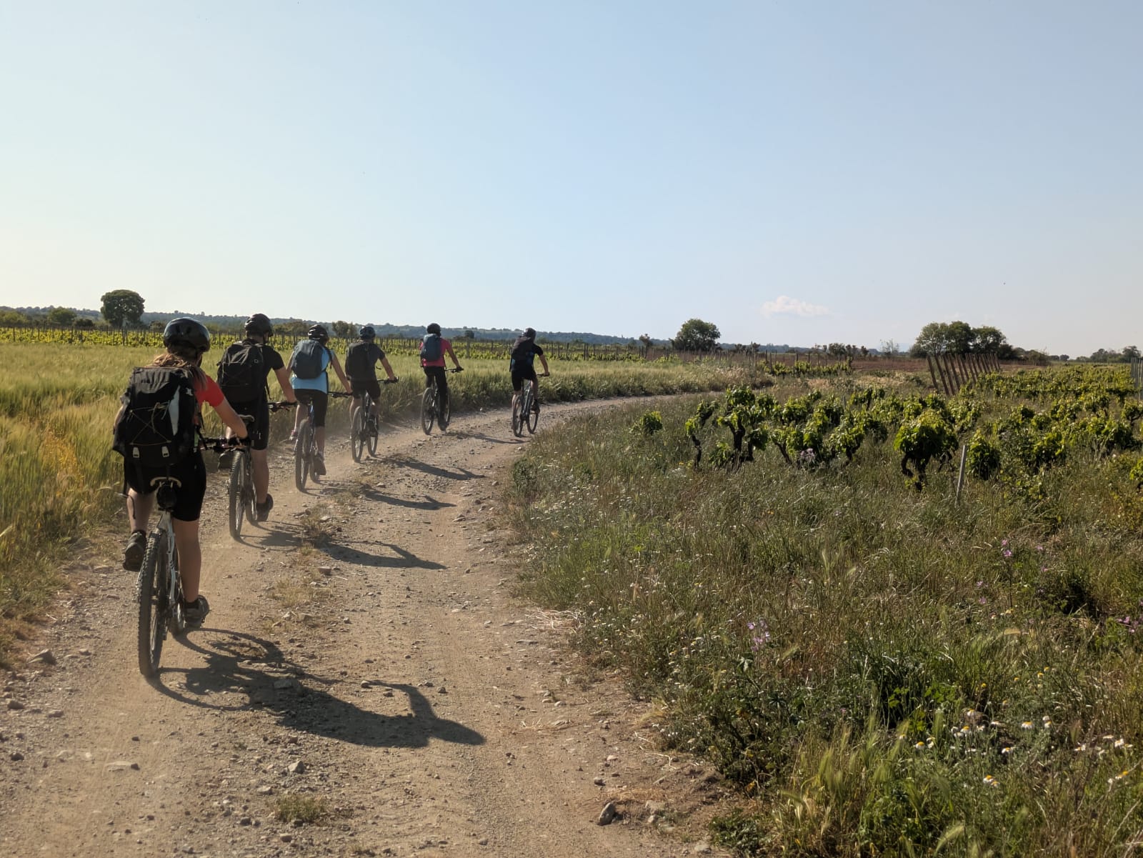 WhatsApp Image 2025-05-23 at 10.17.48 AM - Sara Menendez Domenech