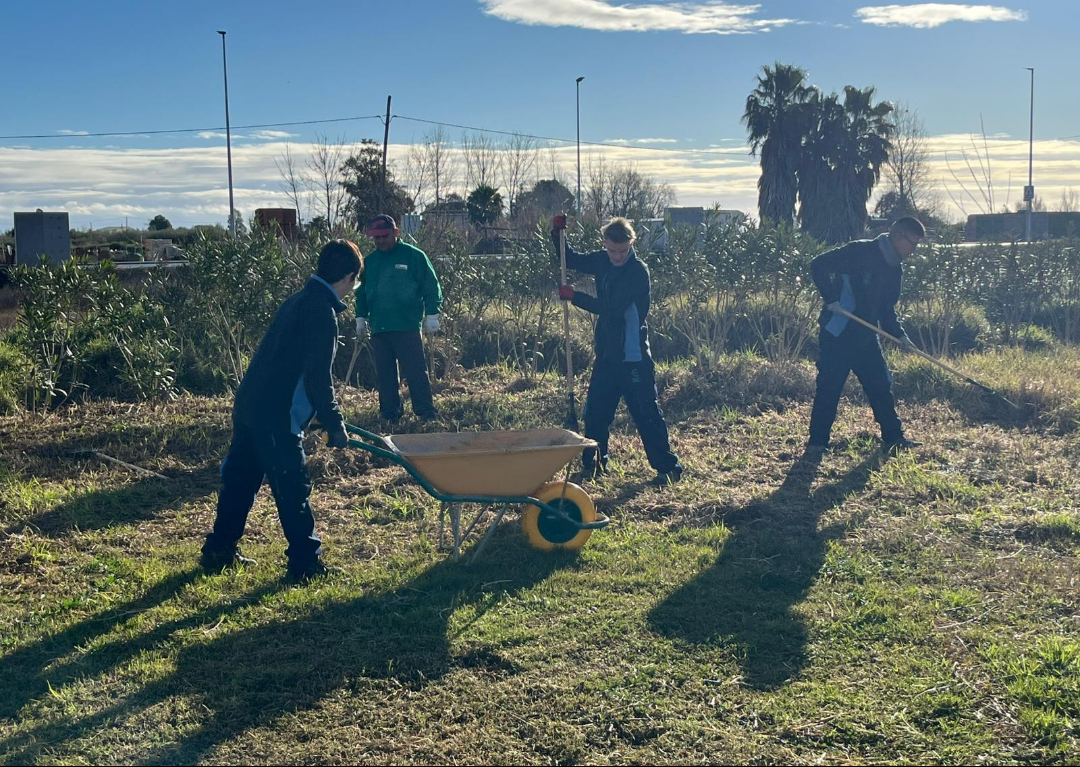 Screenshot_20260205-155811 - Marc Martínez Rodríguez