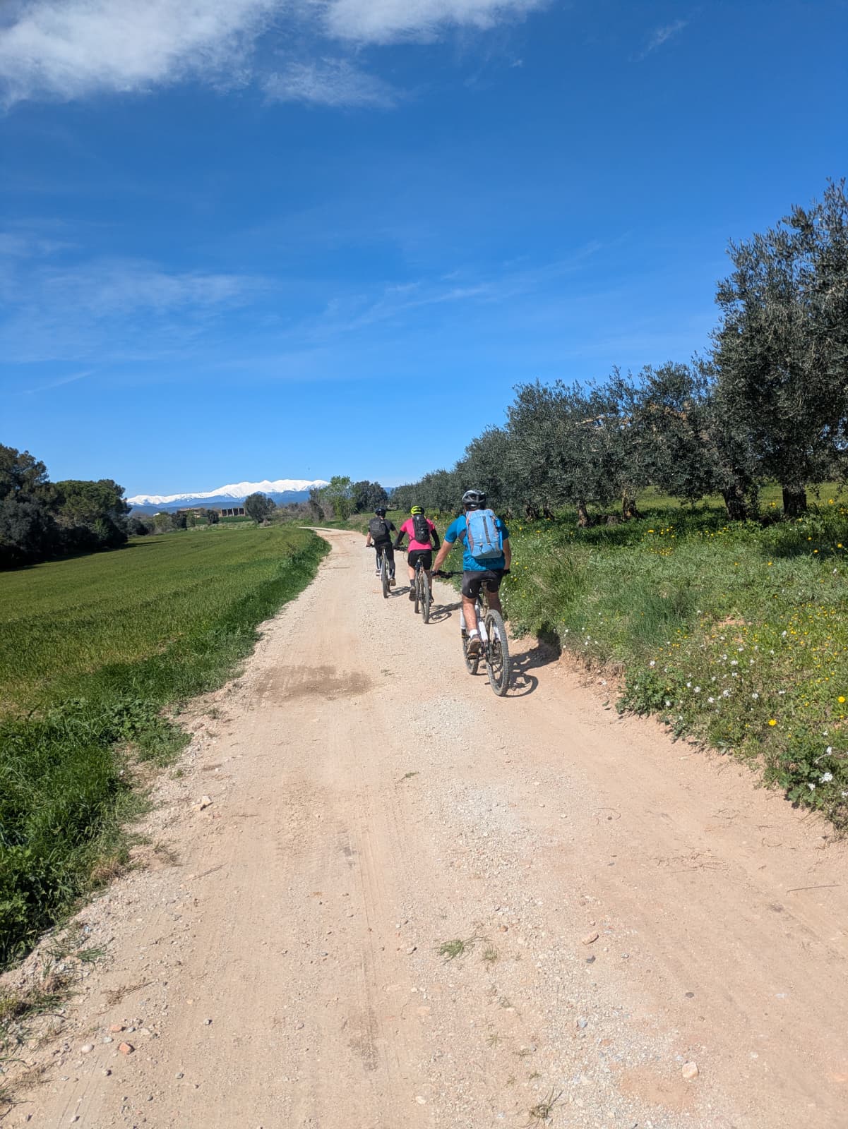 WhatsApp Image 2026-03-23 at 15.24.52 - Sara Menéndez Domenech