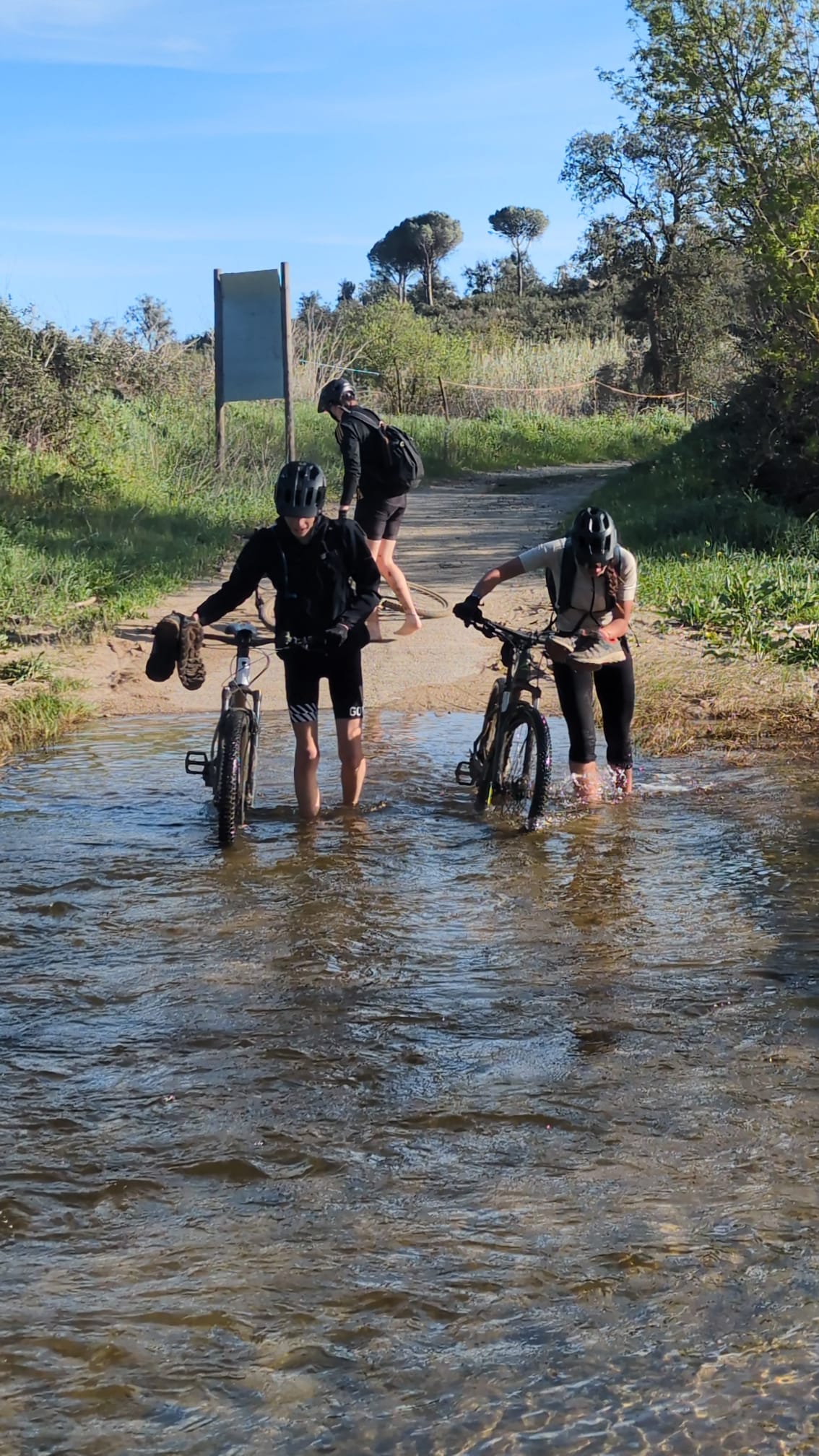 WhatsApp Image 2026-03-23 at 15.26.38 (1) - Sara Menéndez Domenech