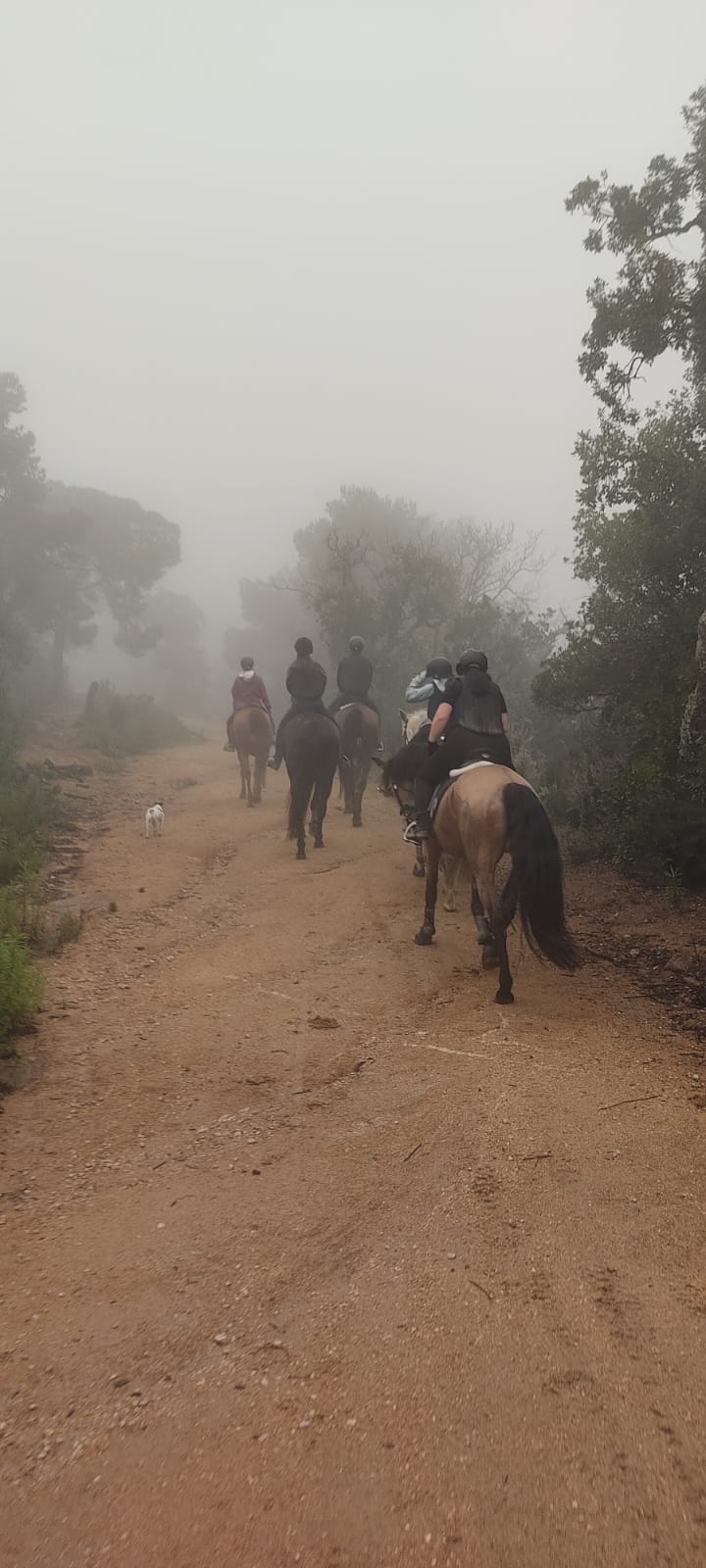 IMG-20250321-WA0001#1