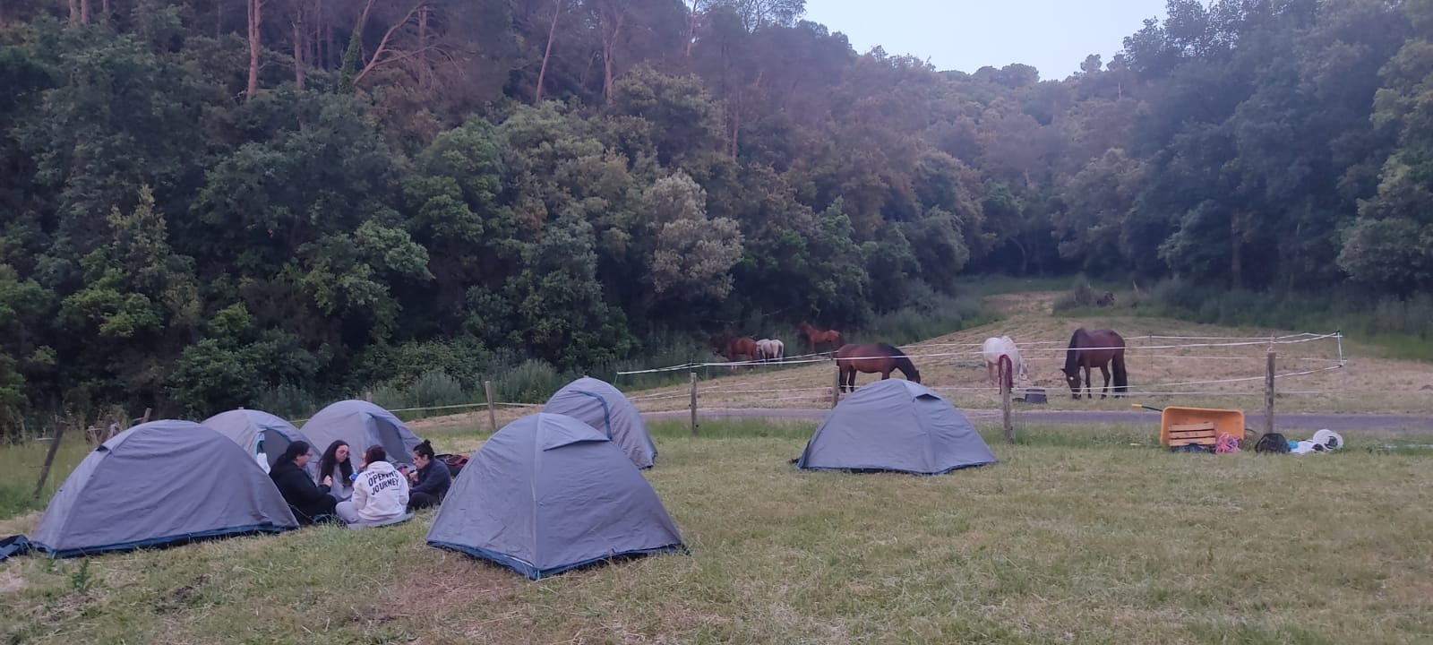 IMG-20250515-WA0073#1