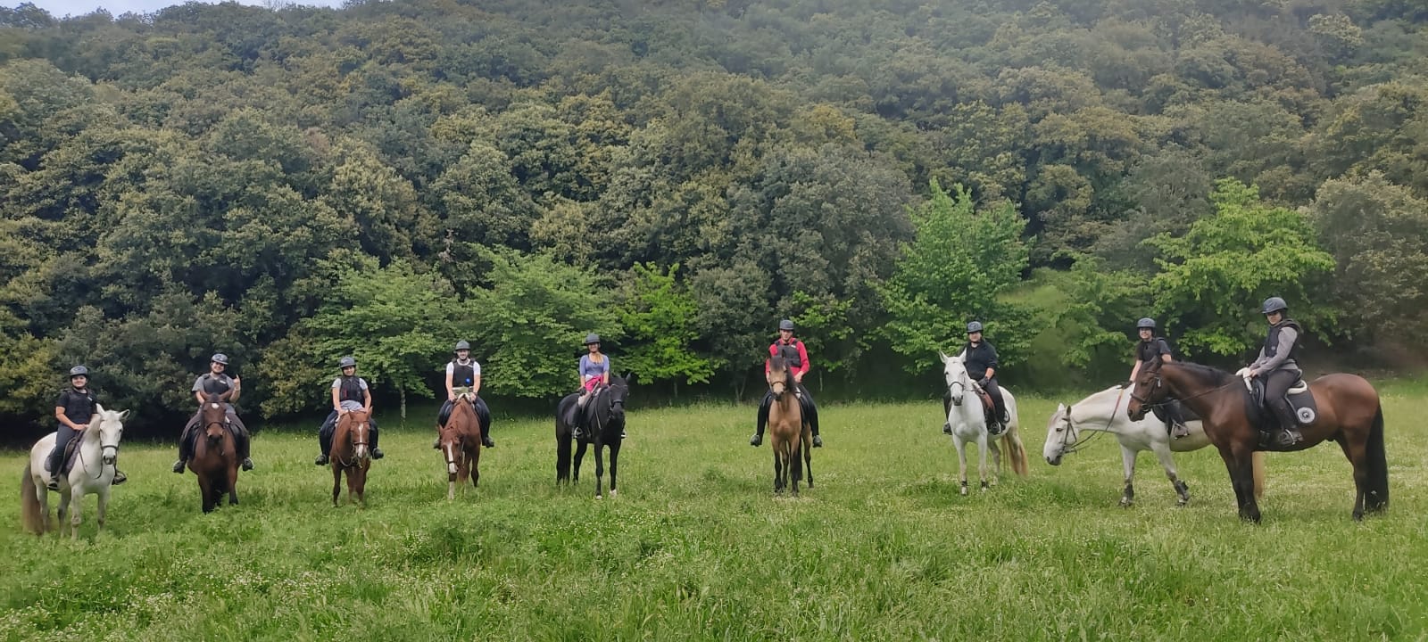 IMG-20250515-WA0077#1