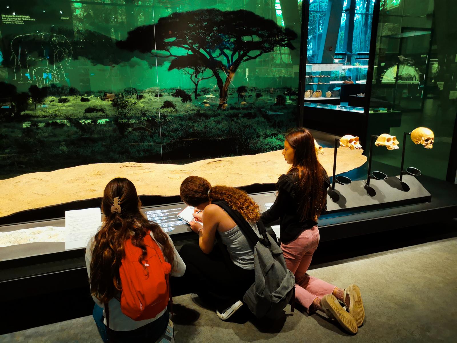 PHOTO-2024-11-10-22-54-18