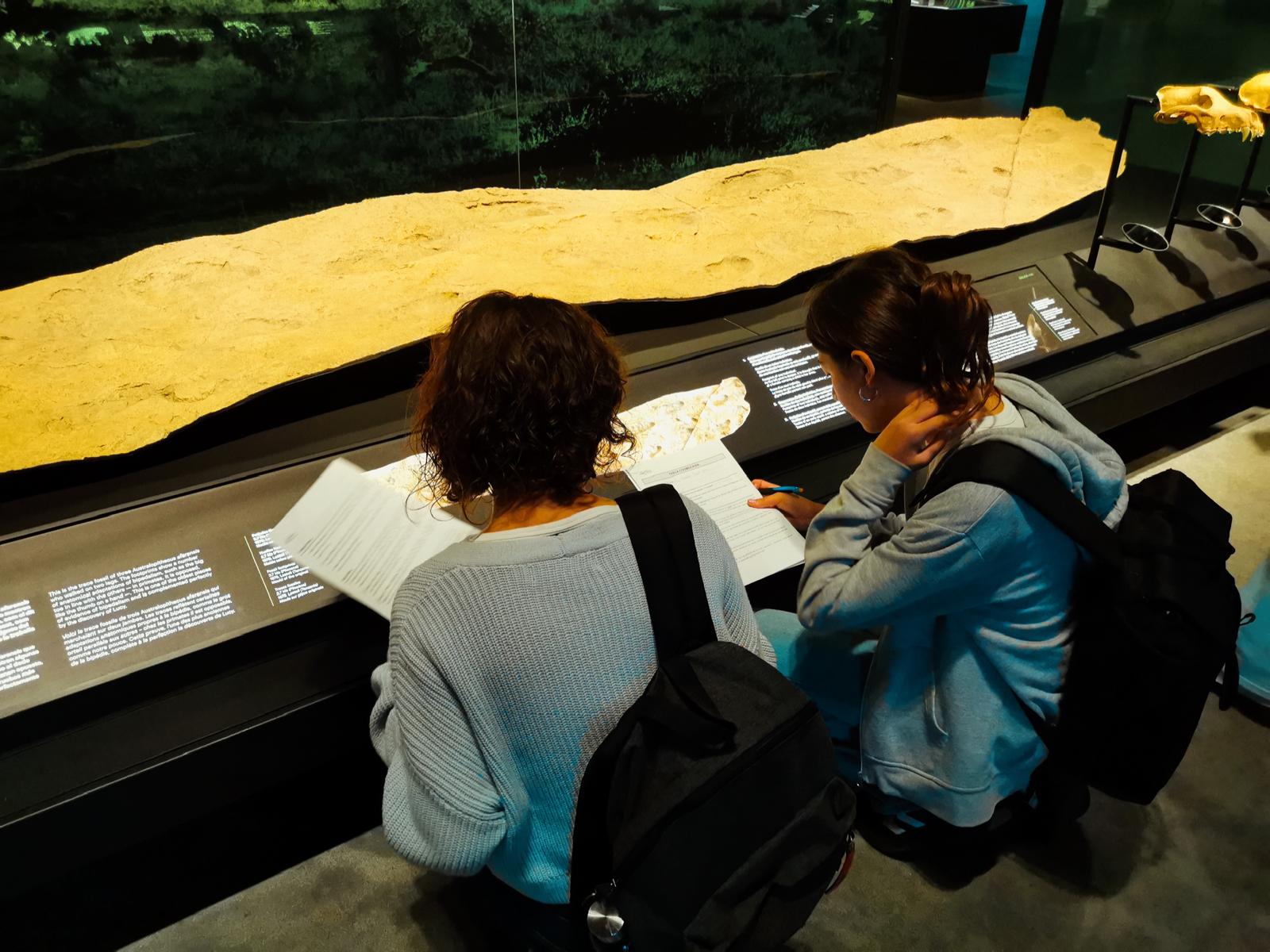 PHOTO-2024-11-10-22-55-57