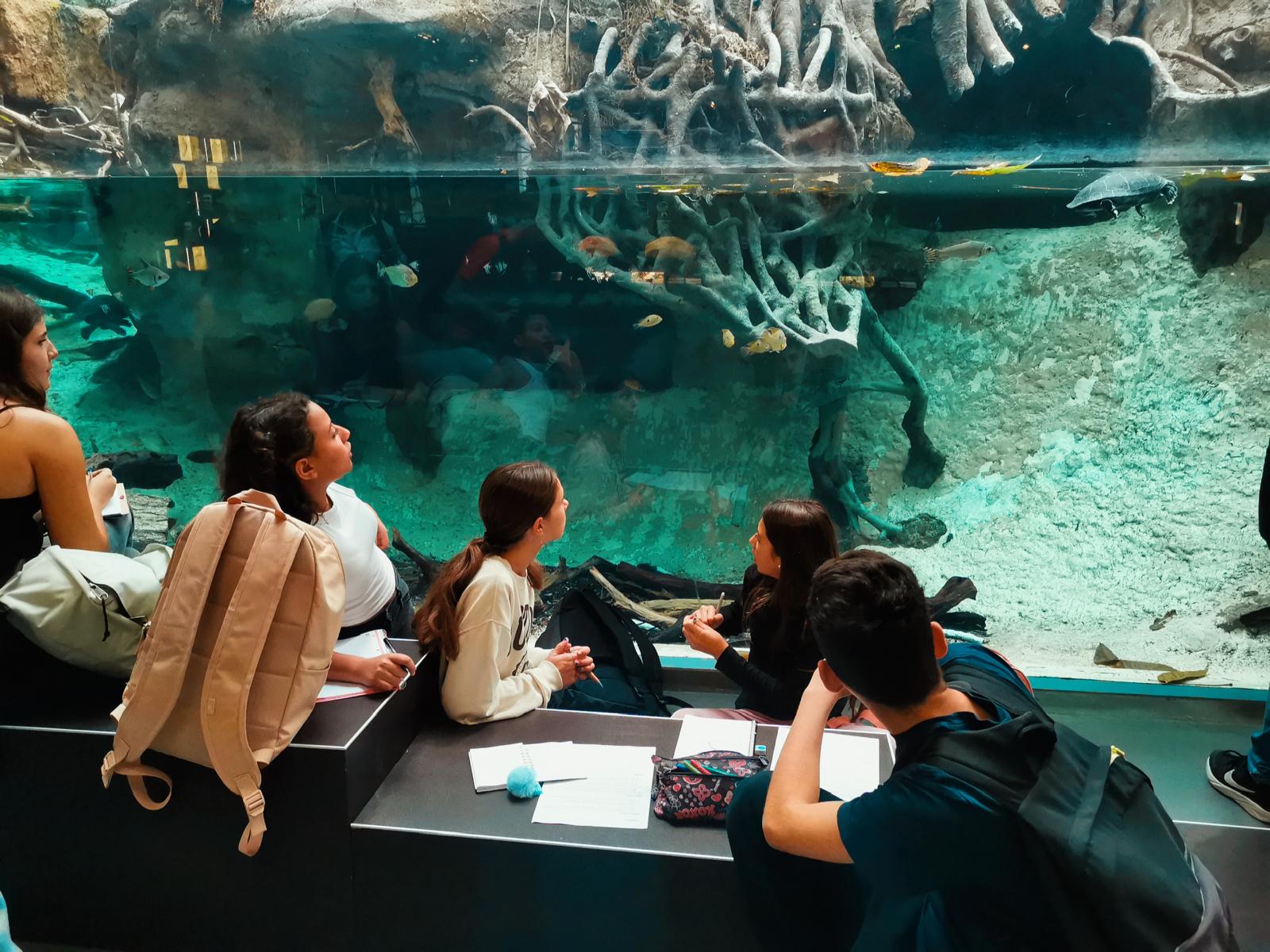 PHOTO-2024-11-10-22-56-10