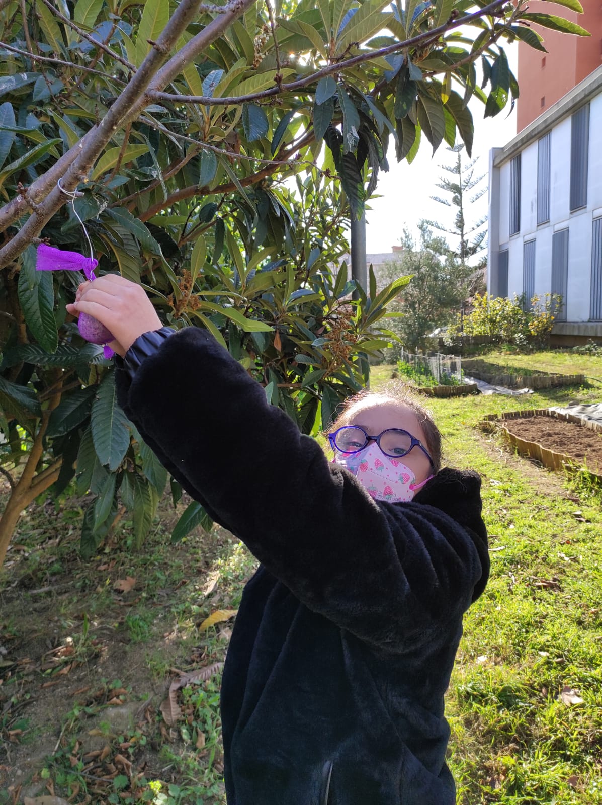 20-21 Menjar ocells 04