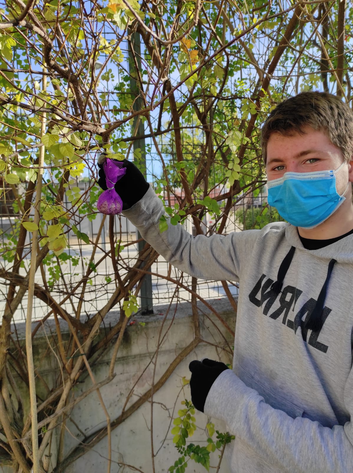 20-21 Menjar ocells 05