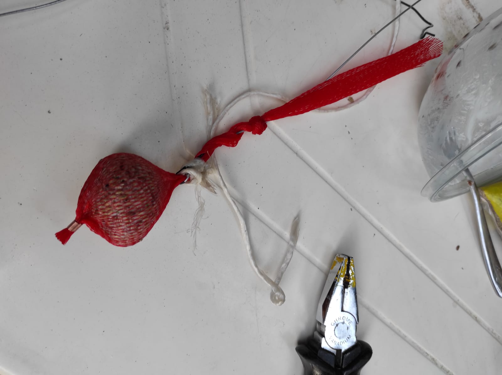 20-21 Menjar ocells 06