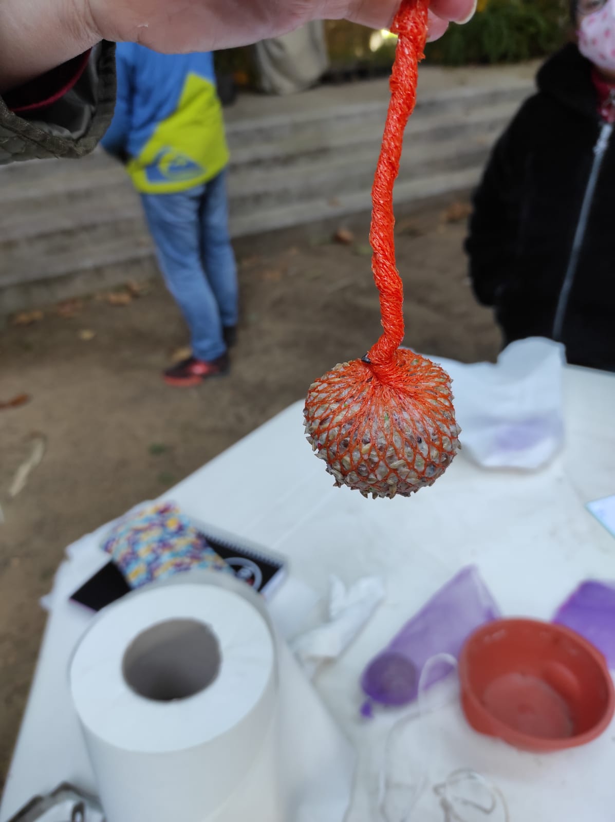 20-21 Menjar ocells 07