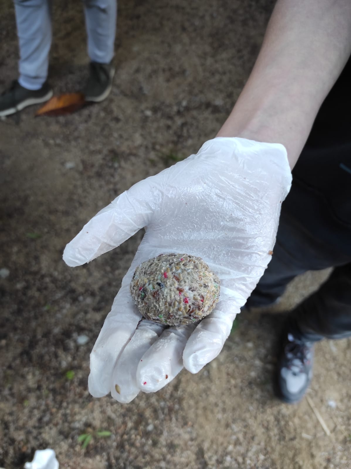 20-21 Menjar ocells 08