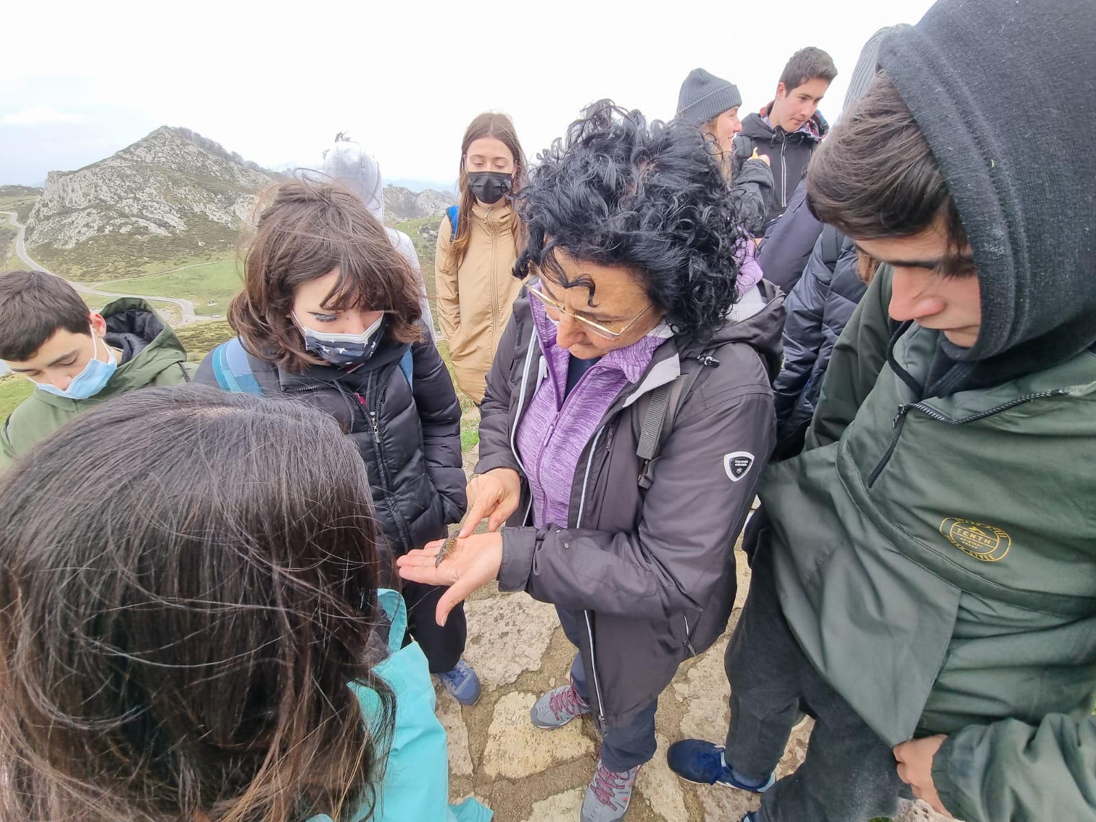 21-22 Pics d'Europa 14