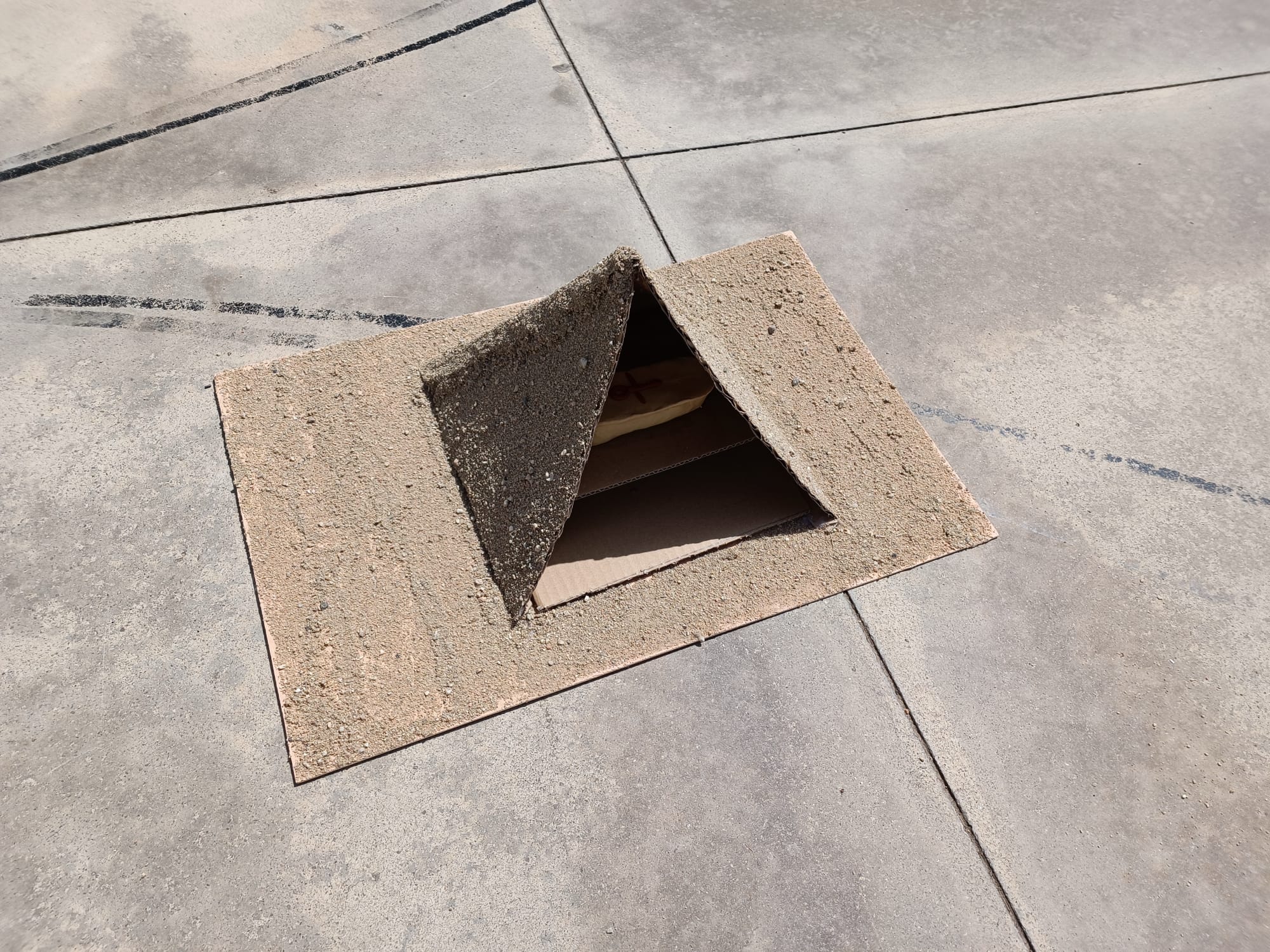 WhatsApp Image 2022-06-15 at 09.03.03 4(1)