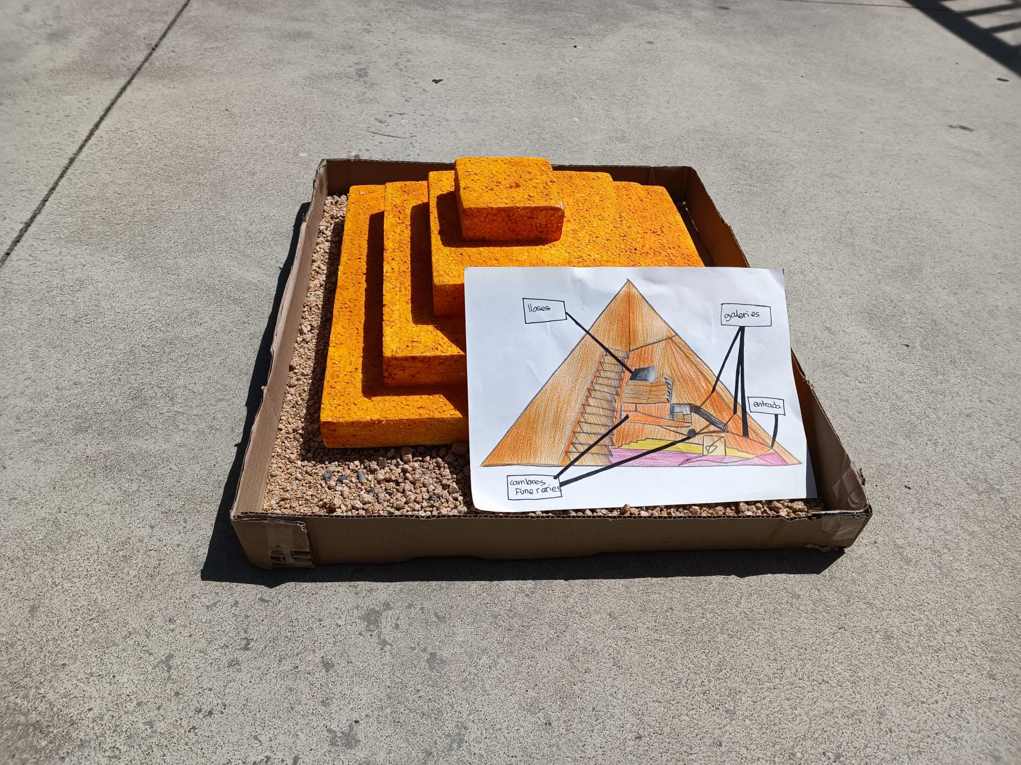 WhatsApp Image 2022-06-15 at 09.03.04