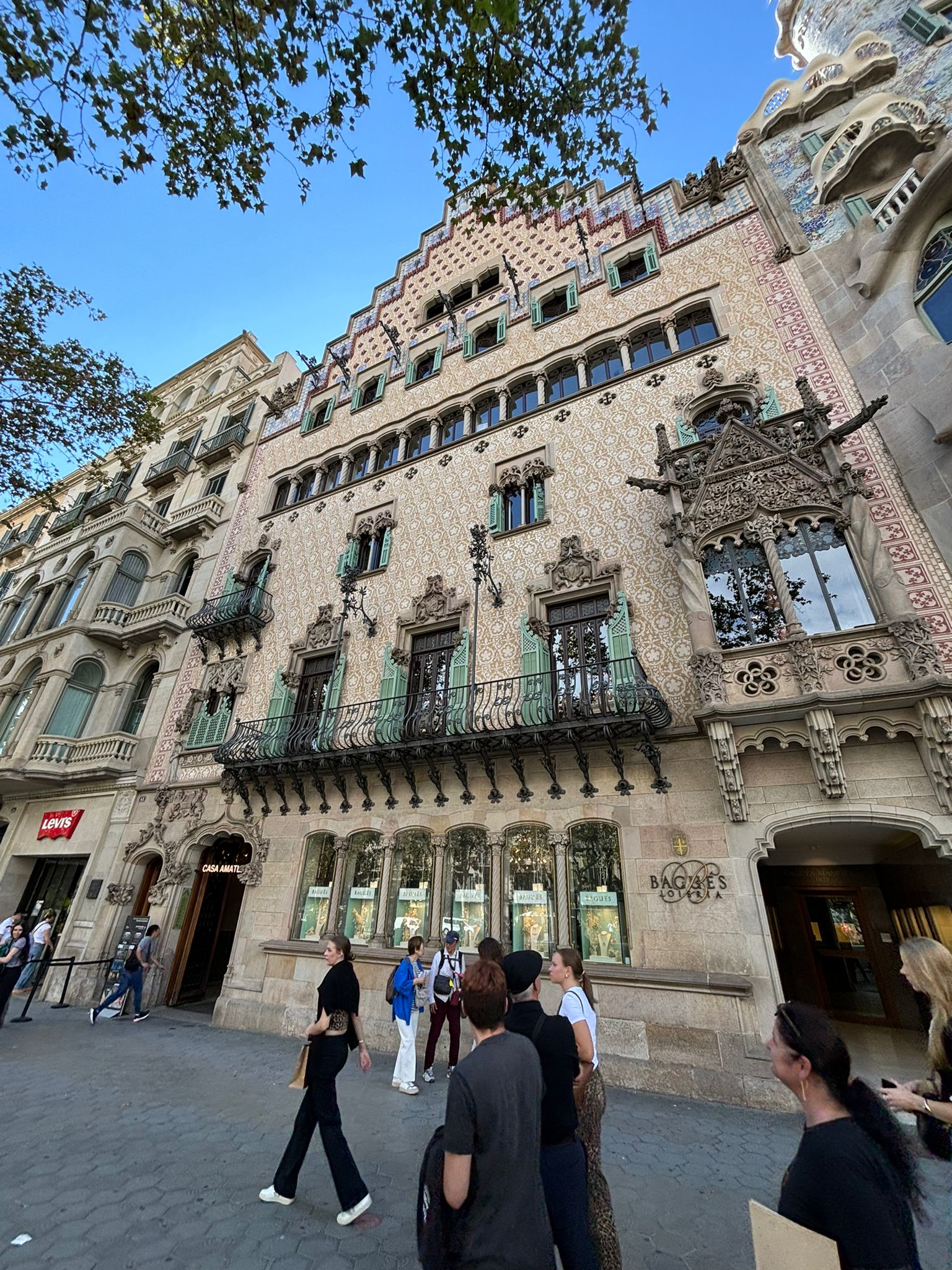 WhatsApp Image 2024-10-22 at 13.24.52