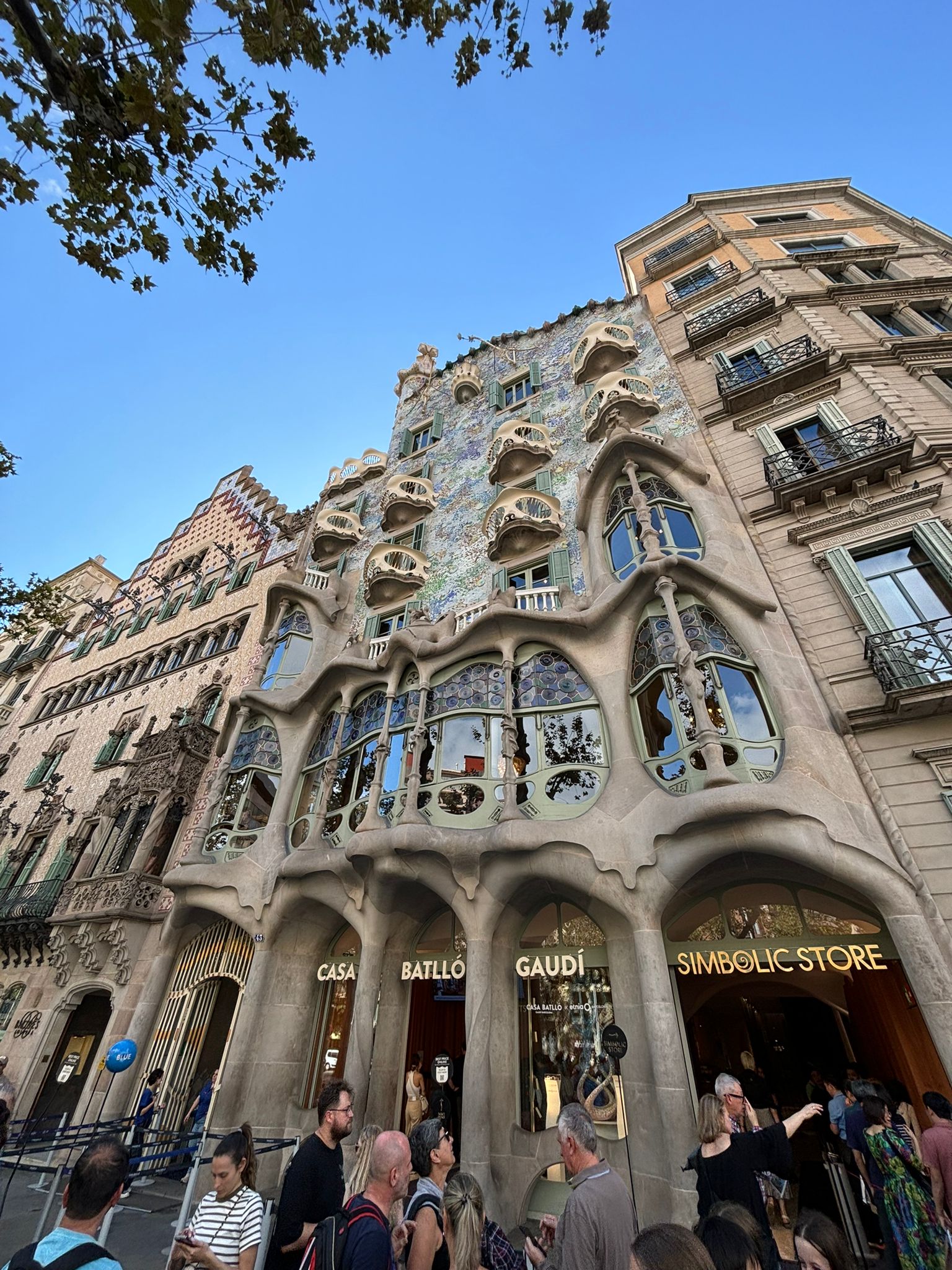 WhatsApp Image 2024-10-22 at 13.24.53 (1)