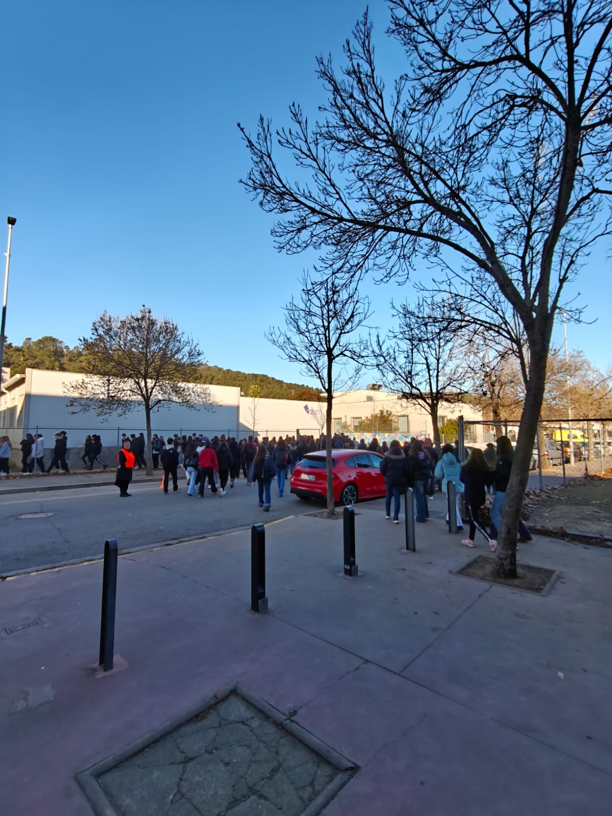 WhatsApp Image 2025-01-13 at 17.22.15