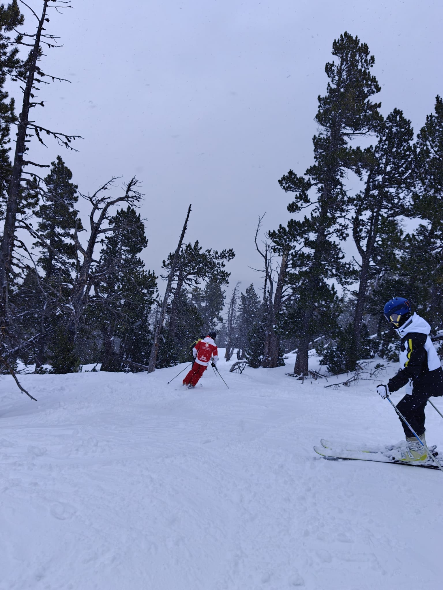 WhatsApp Image 2025-02-17 at 17.54.26 (2)